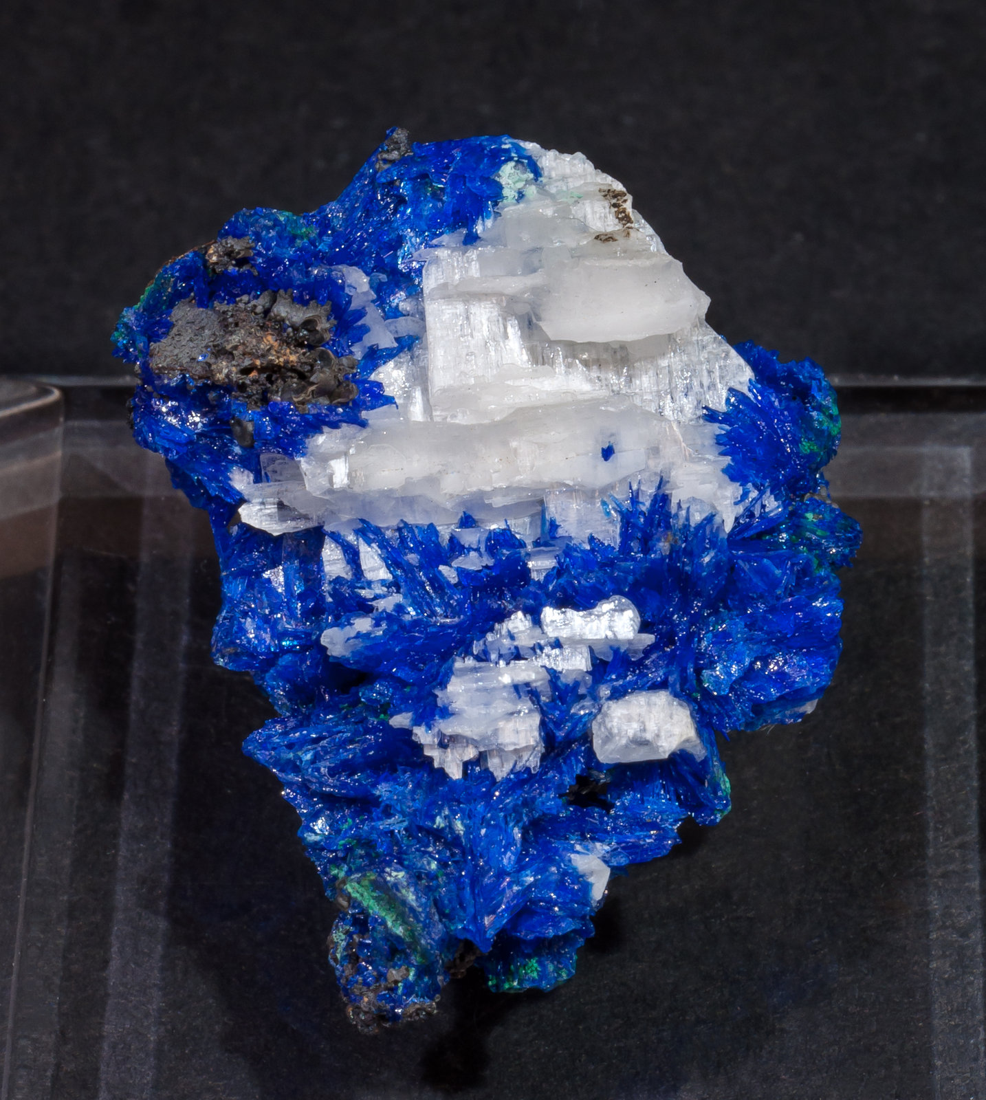specimens/s_imagesAL6/Linarite-EA97AL6f.jpg