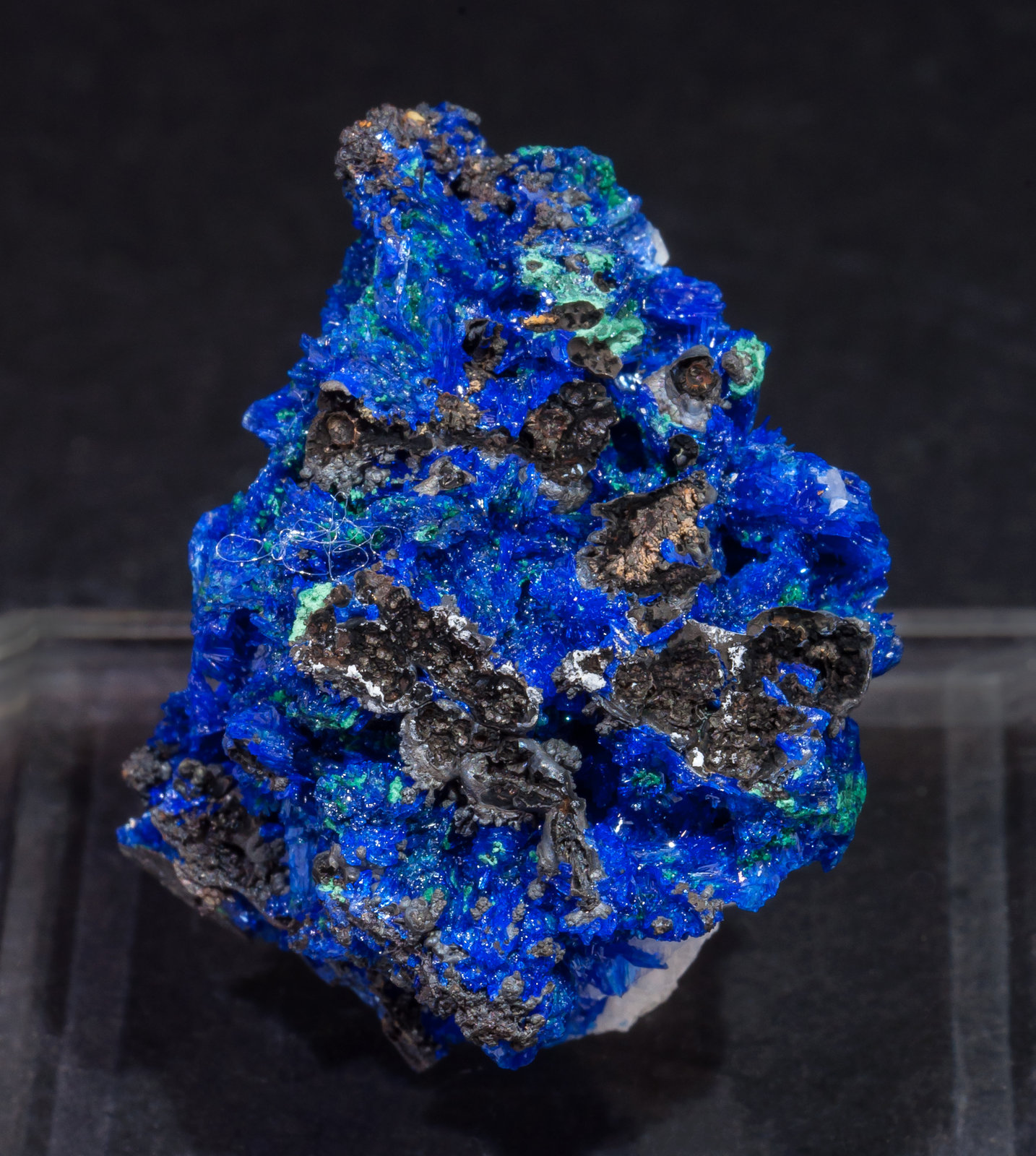 specimens/s_imagesAL6/Linarite-EA97AL6r.jpg