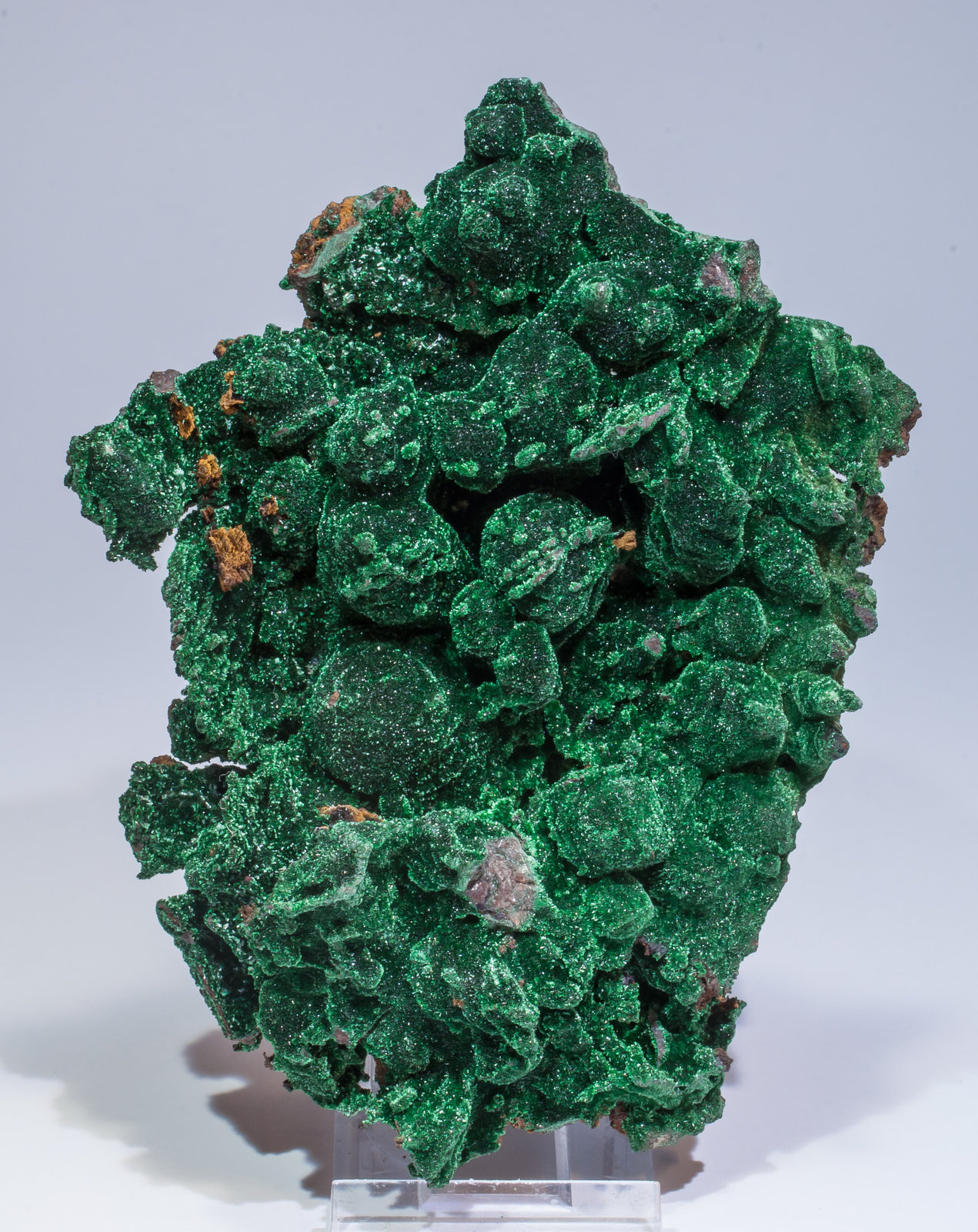 specimens/s_imagesAL6/Malachite-ET50AL6f.jpg