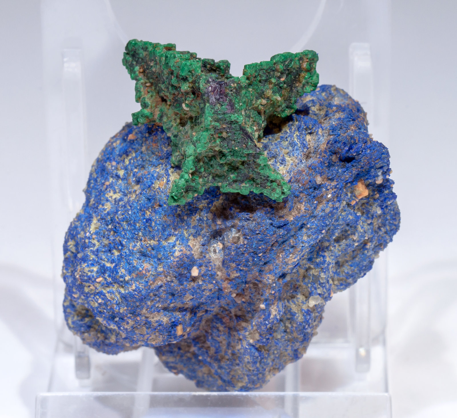 specimens/s_imagesAL6/Malachite-LK73AL6r.jpg