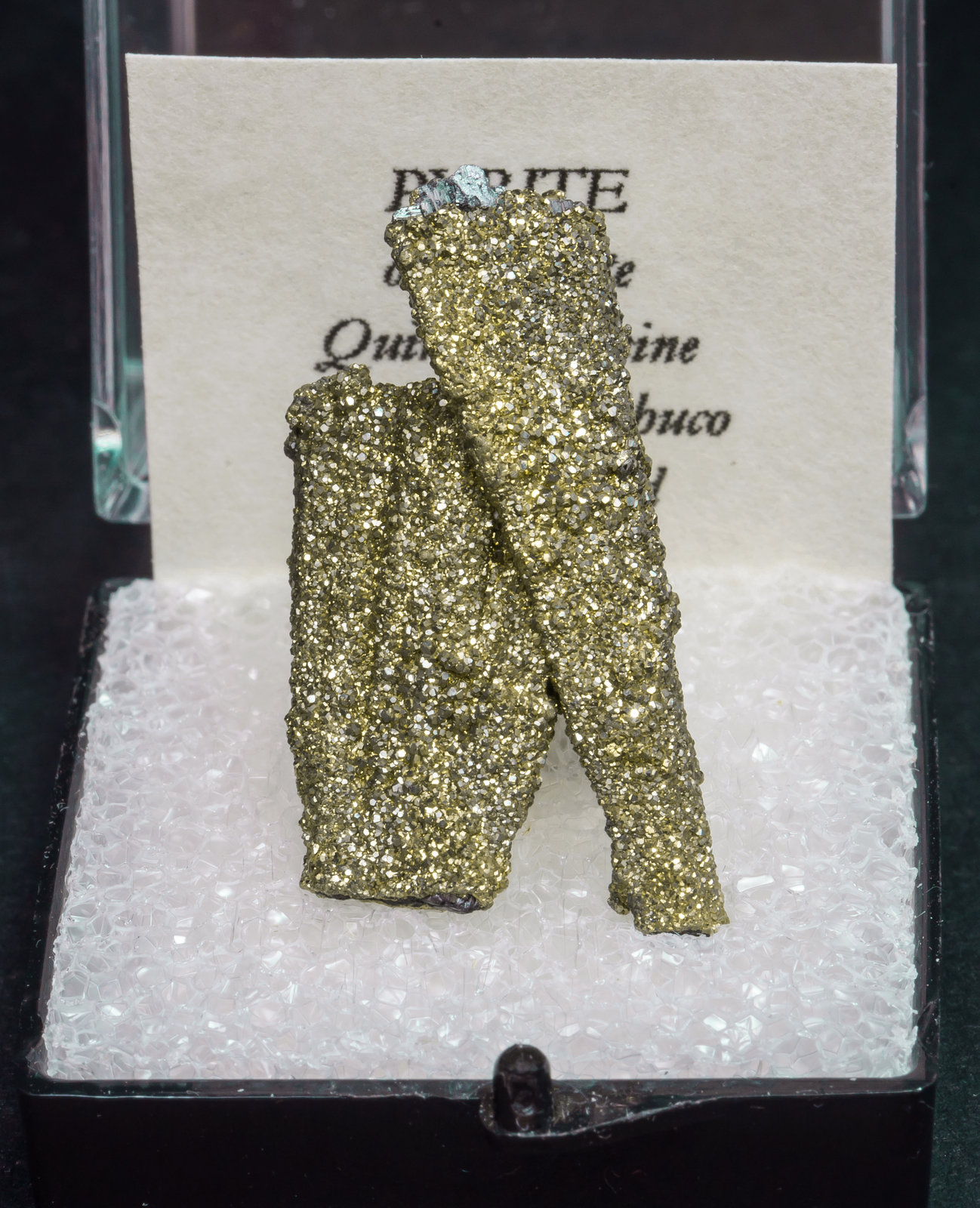 specimens/s_imagesAL6/Pyrite-TB14AL6f1.jpg