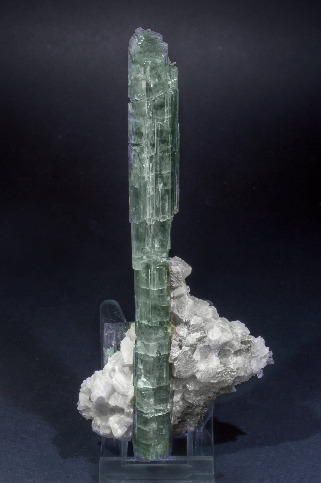 specimens/s_imagesAL6/Tremolite-TC86AL6s1.jpg