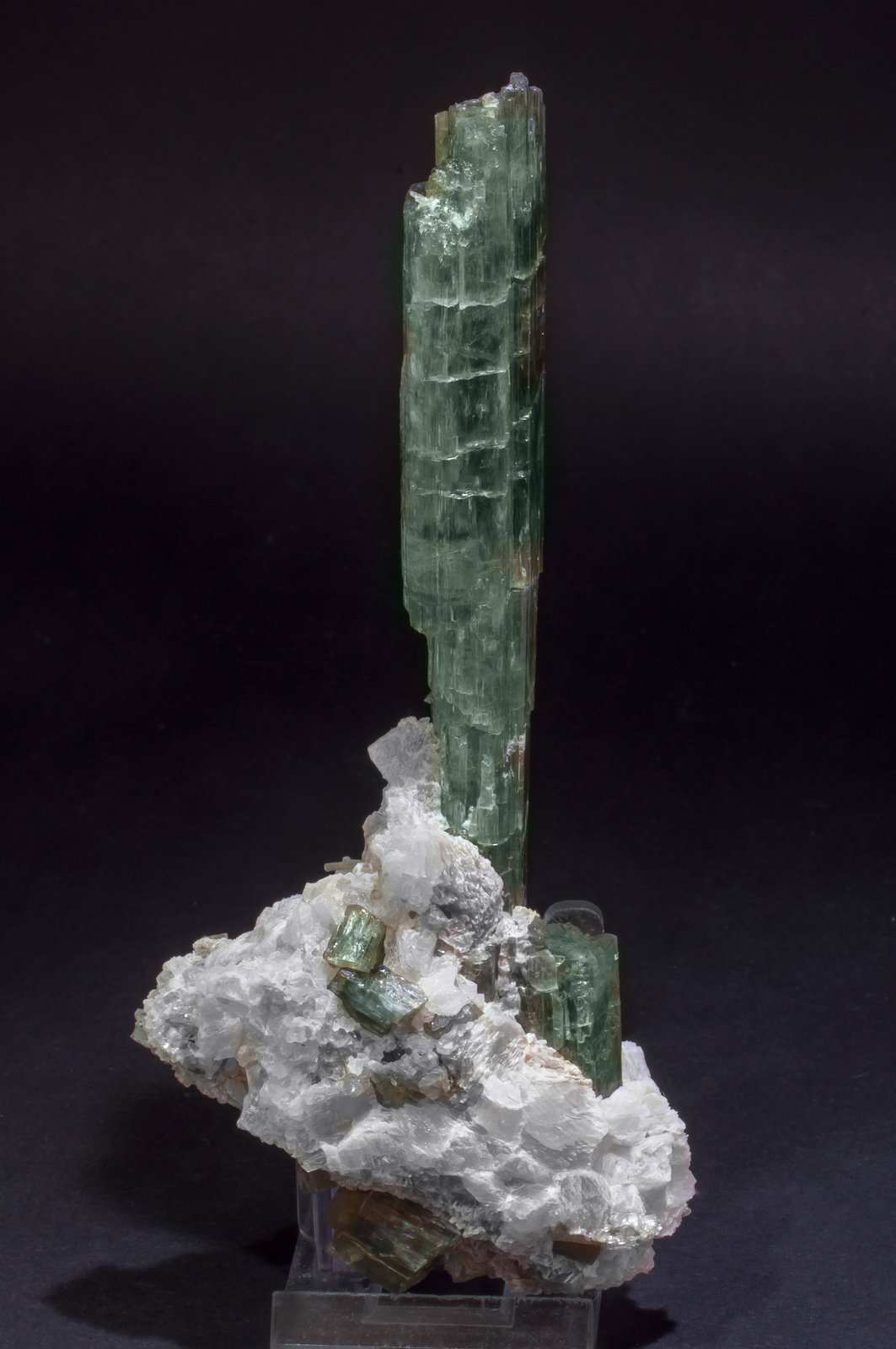 specimens/s_imagesAL6/Tremolite-TC86AL6s2.jpg