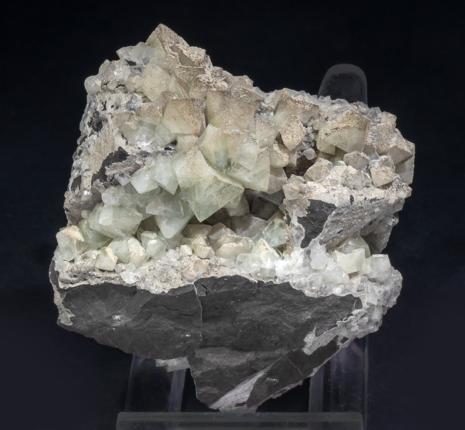 specimens/s_imagesAL6/Wardite-ME86AL6f.jpg