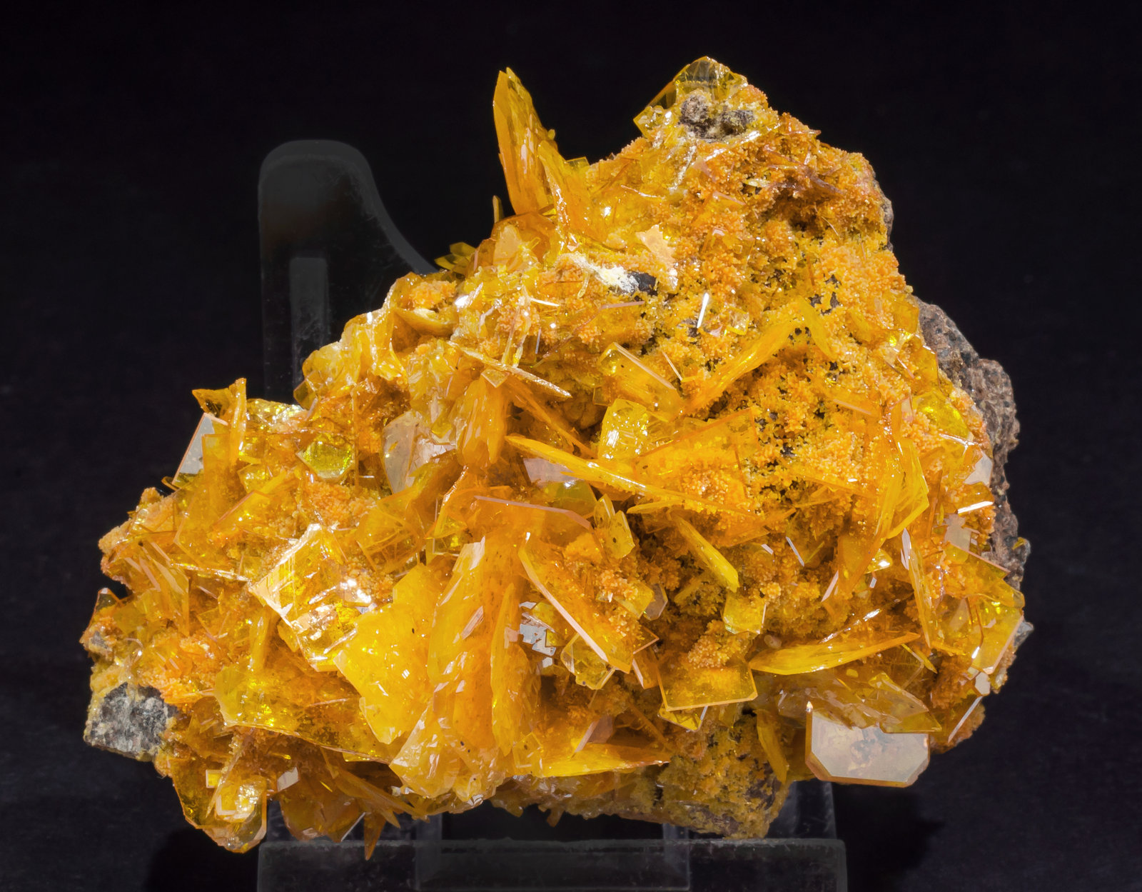 specimens/s_imagesAL6/Wulfenite-TC53AL6f.jpg