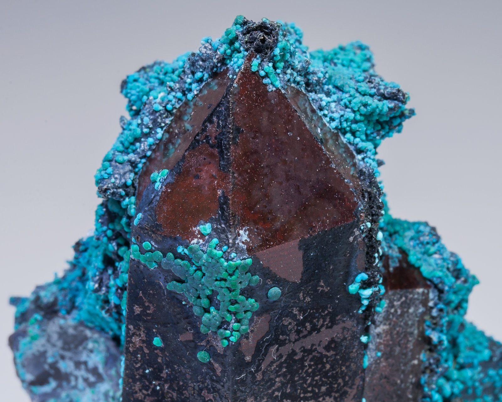 specimens/s_imagesAL7/Chrysocolla-EK87AL7d.jpg