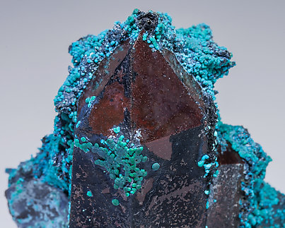 Chrysocolla on Quartz. 