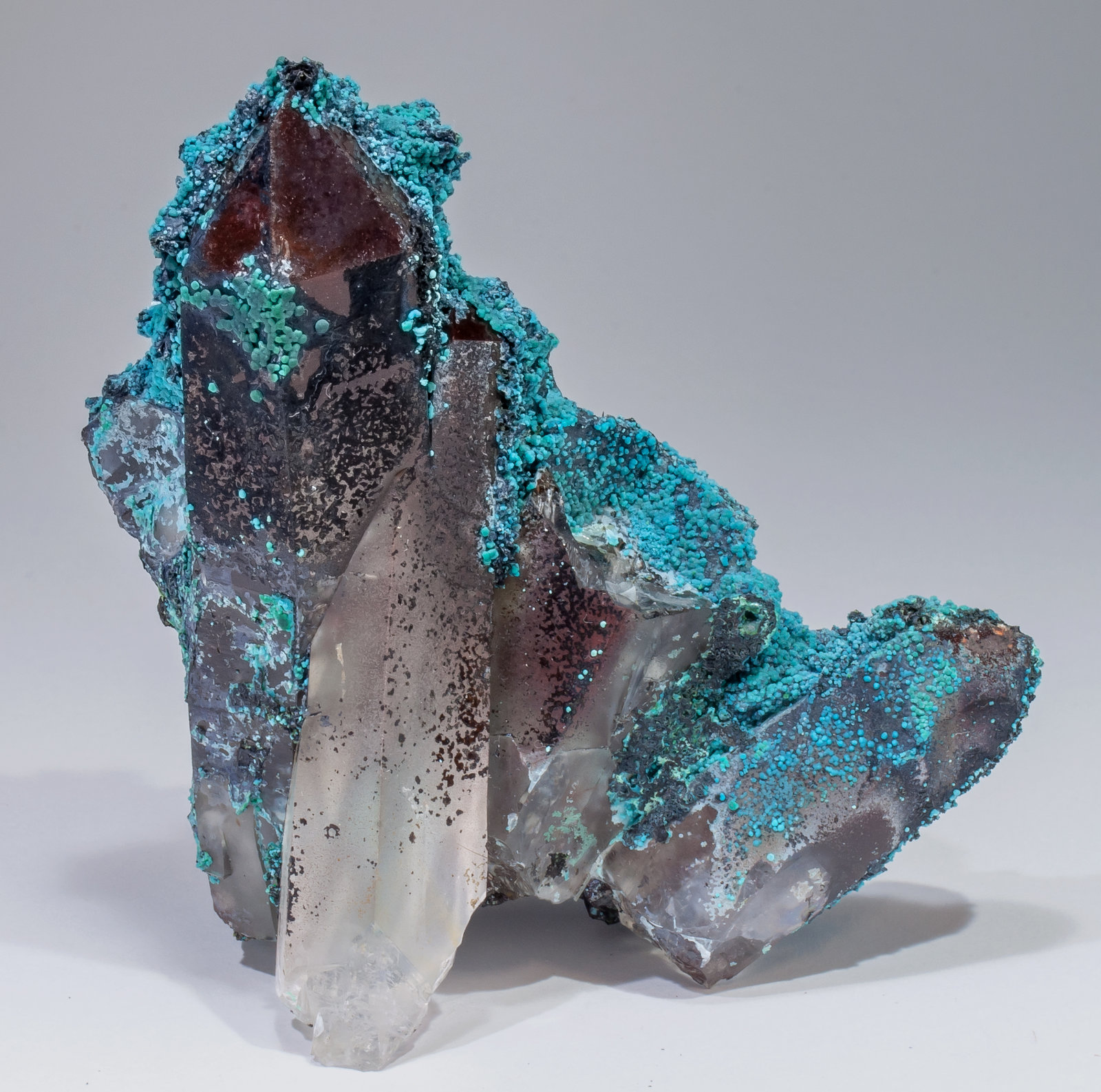 specimens/s_imagesAL7/Chrysocolla-EK87AL7f.jpg