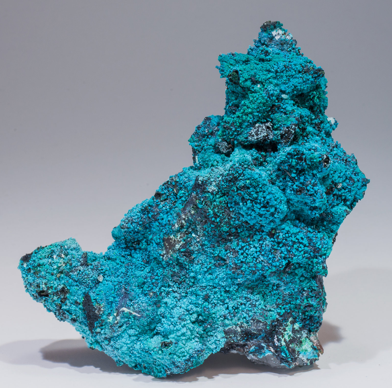 specimens/s_imagesAL7/Chrysocolla-EK87AL7r.jpg