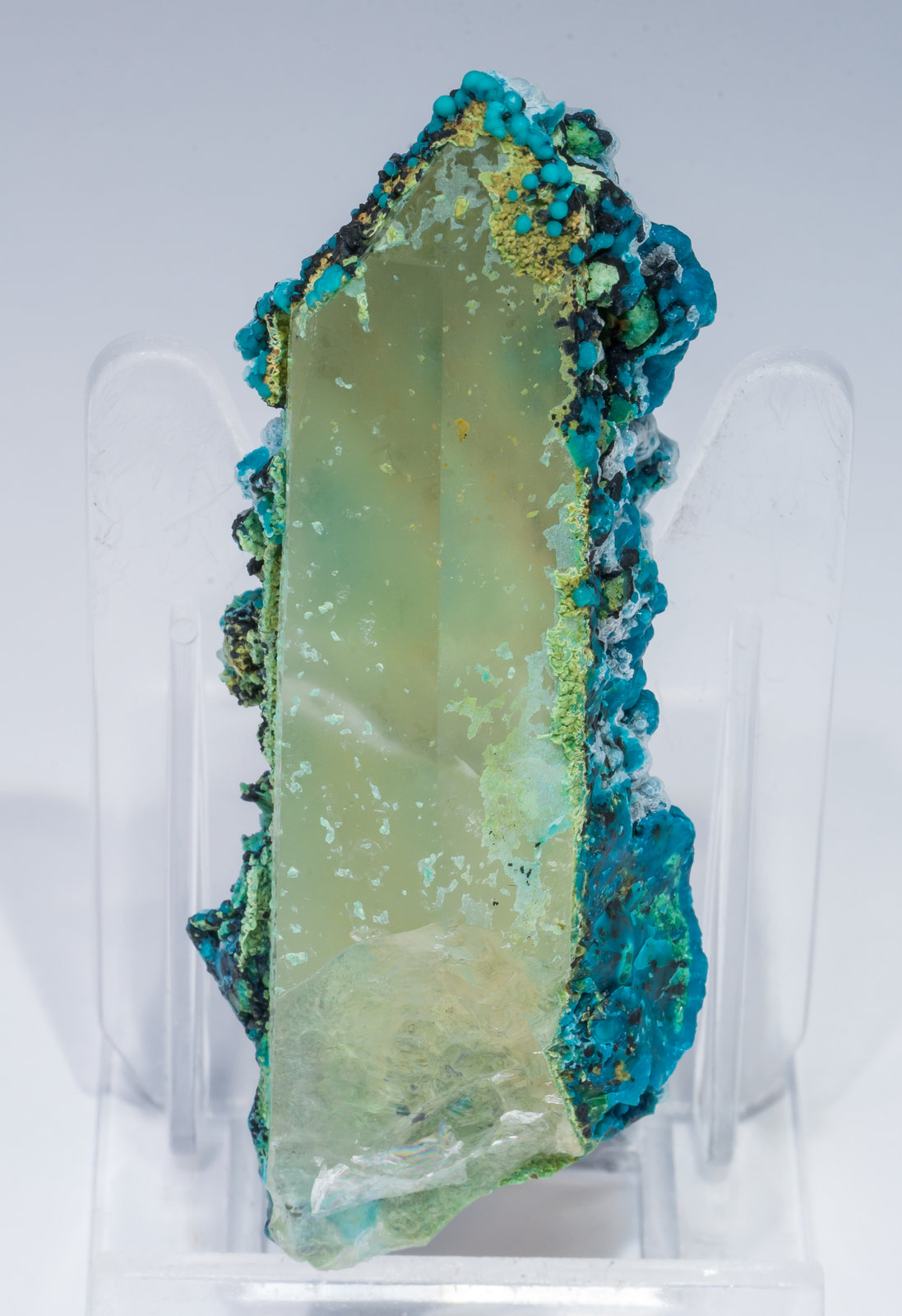 specimens/s_imagesAL7/Chrysocolla-TG37AL7r.jpg