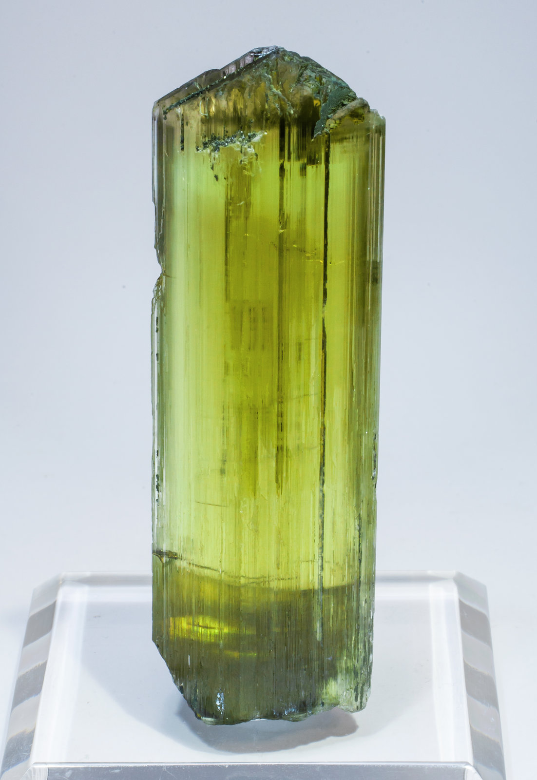 specimens/s_imagesAL7/Diaspore-ET66AL7f.jpg