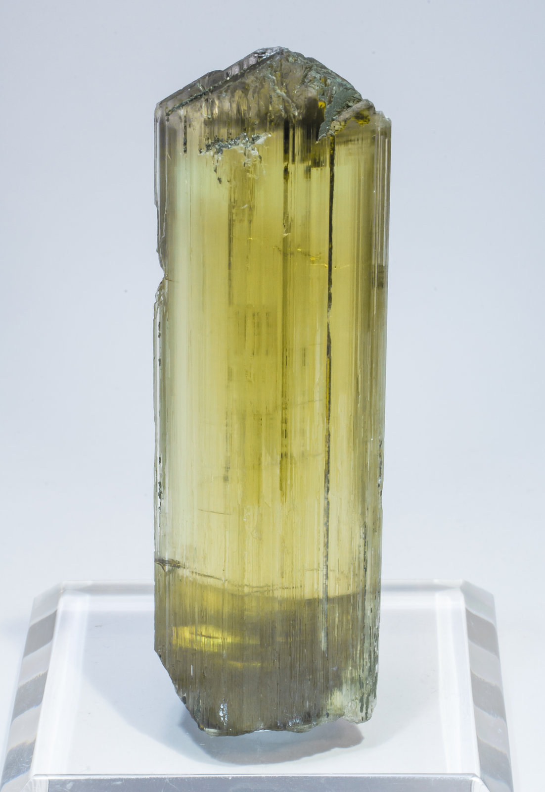 specimens/s_imagesAL7/Diaspore-ET66AL7f2.jpg