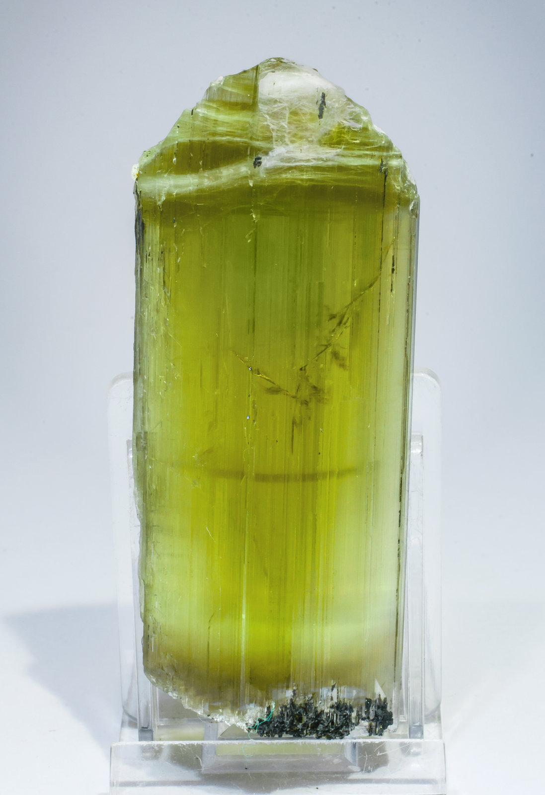 specimens/s_imagesAL7/Diaspore-EV96AL7f.jpg