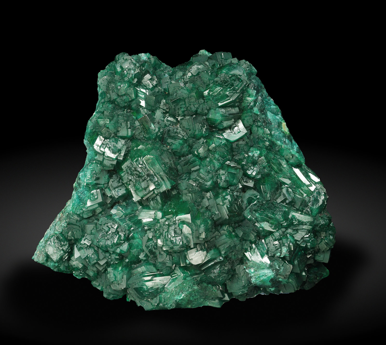 specimens/s_imagesAL7/Dioptase-TF99AL7_1015_f.jpg