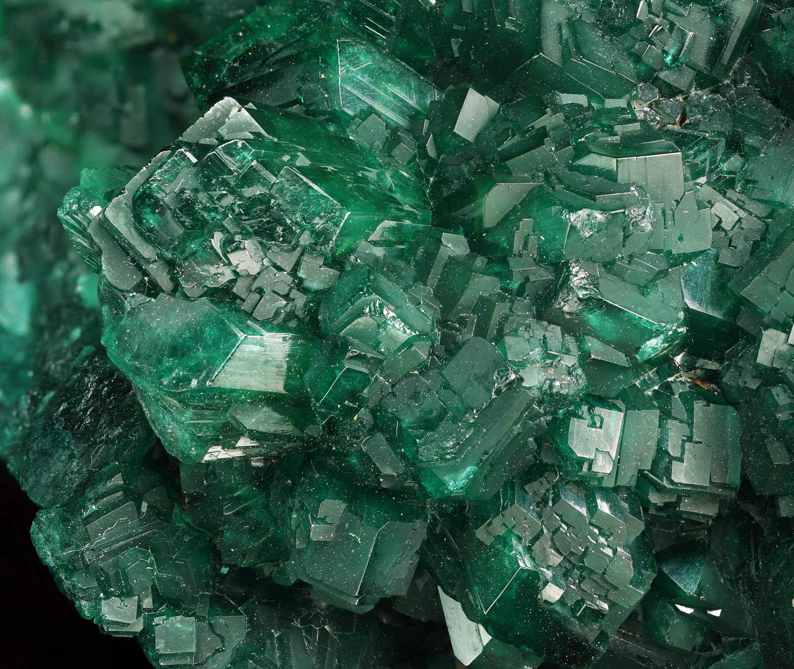 specimens/s_imagesAL7/Dioptase-TF99AL7_1060_d.jpg