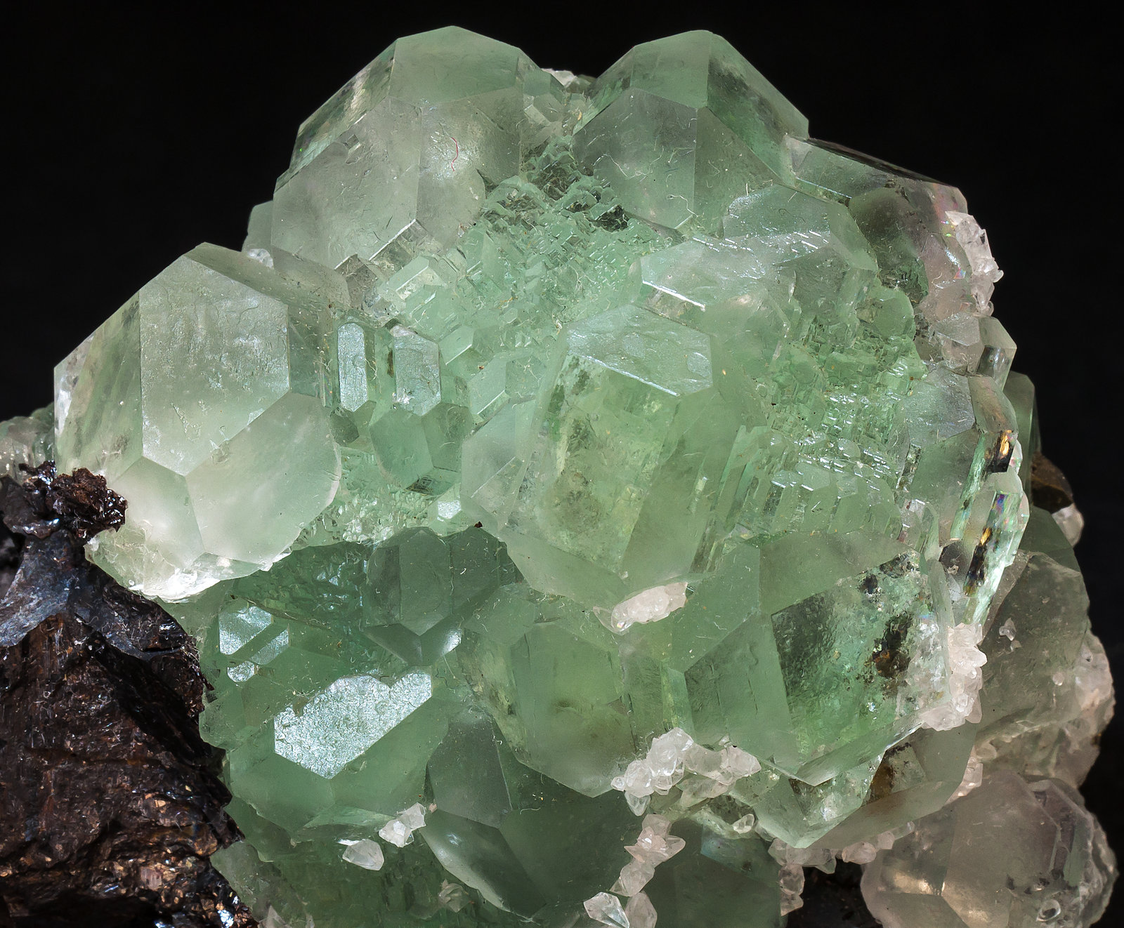 specimens/s_imagesAL7/Fluorite-FA37AL7d.jpg