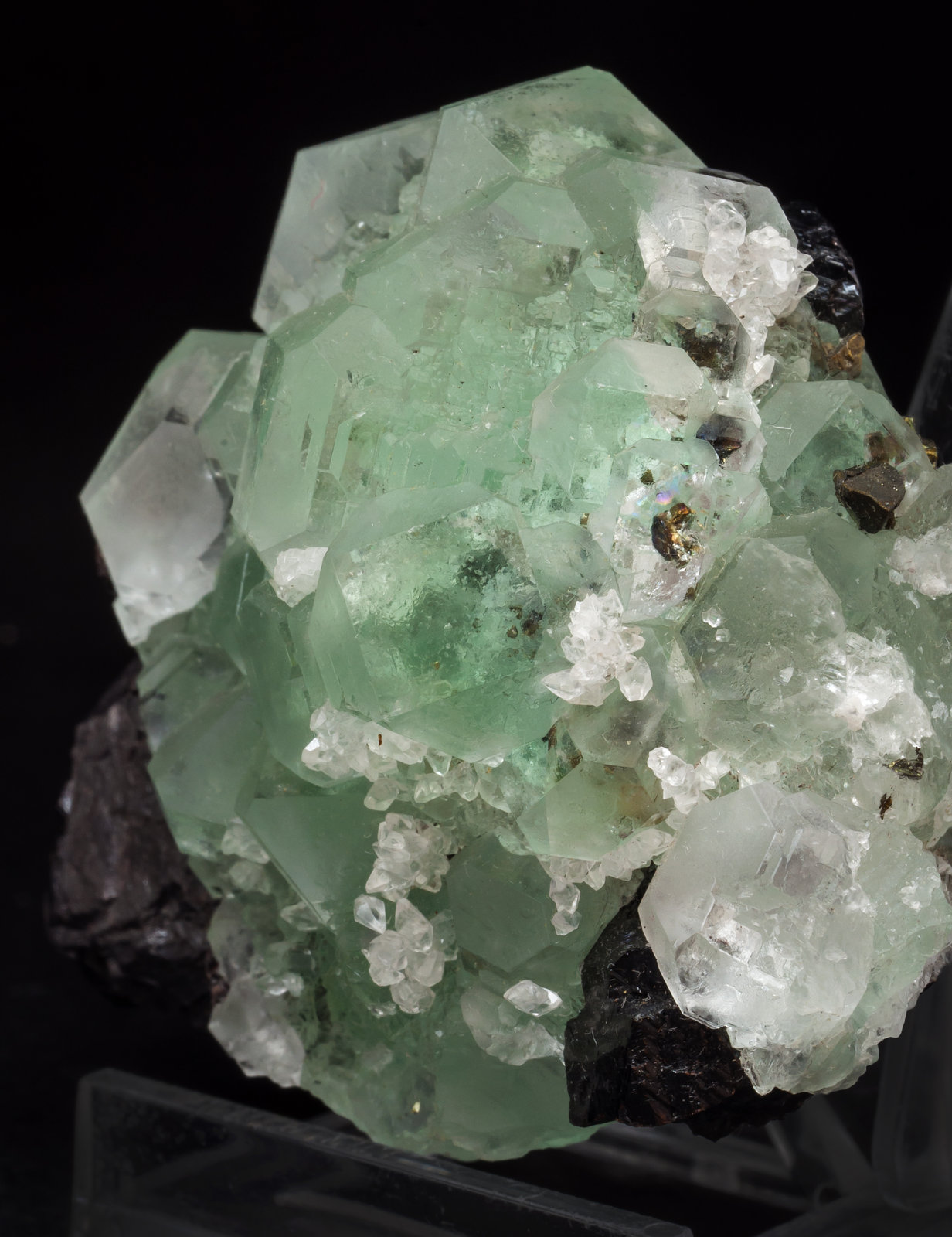 specimens/s_imagesAL7/Fluorite-FA37AL7s.jpg