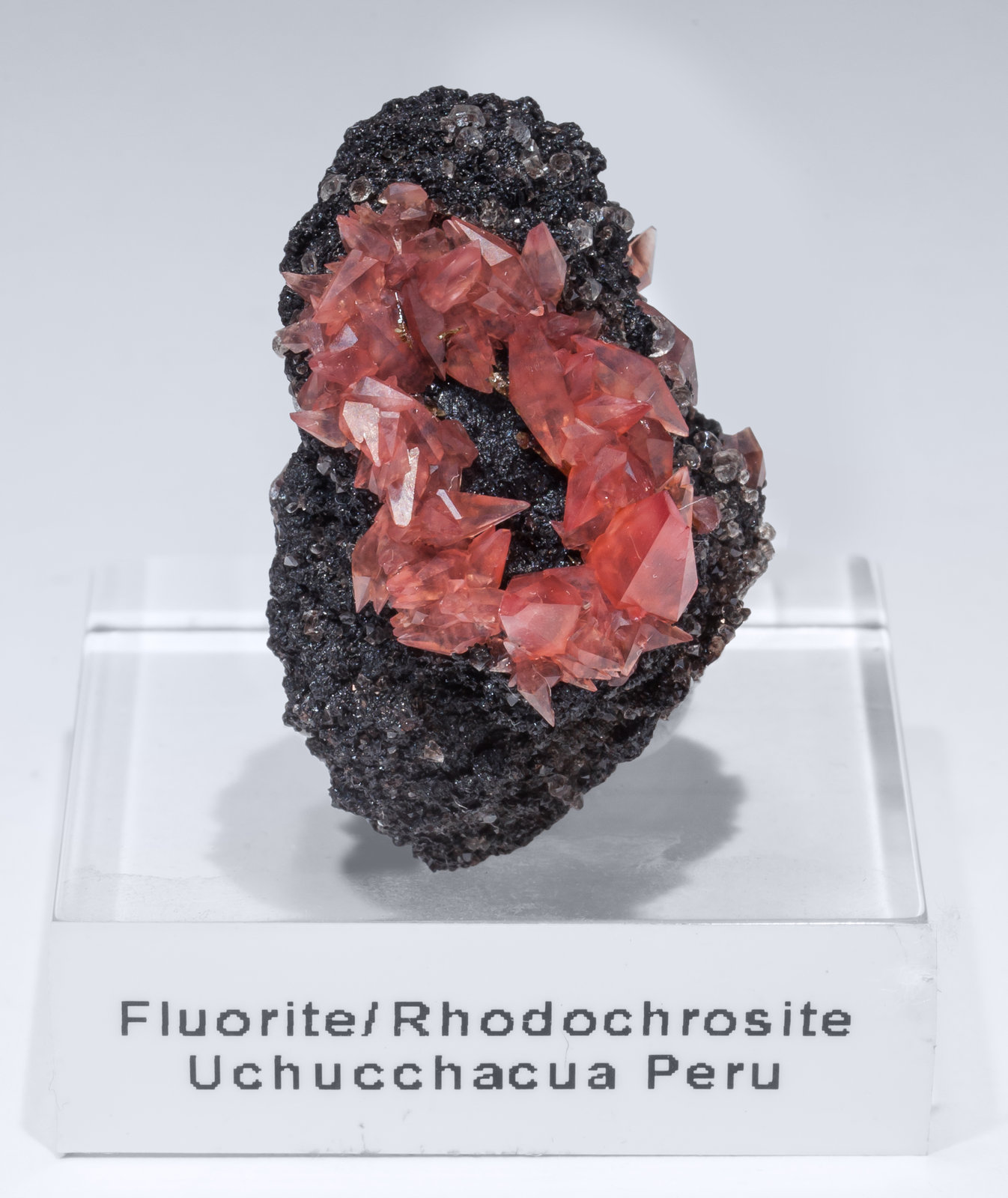 specimens/s_imagesAL7/Fluorite-FJ47AL7f.jpg