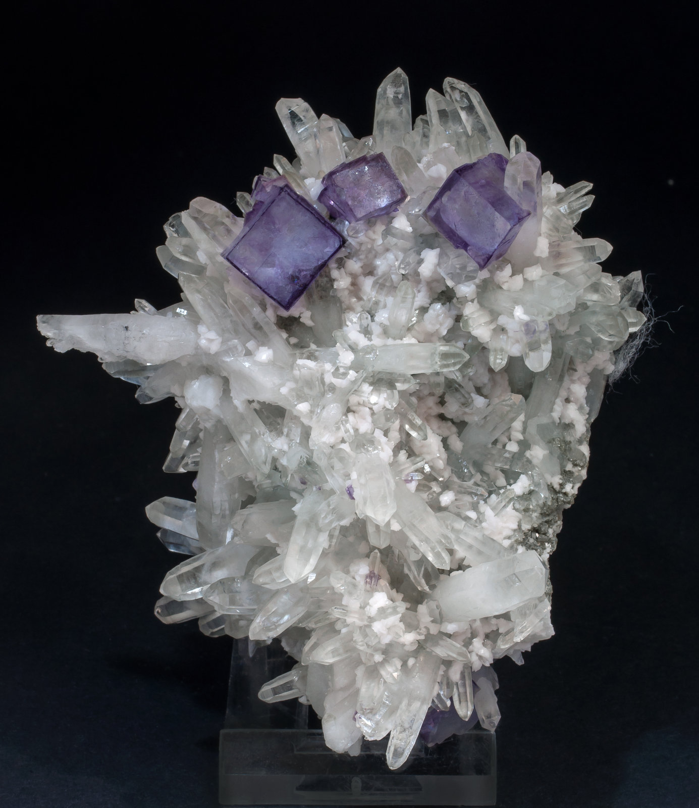 specimens/s_imagesAL7/Fluorite-FL89AL7f.jpg