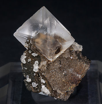 Octahedral Fluorite on Pyrrhotite. Front