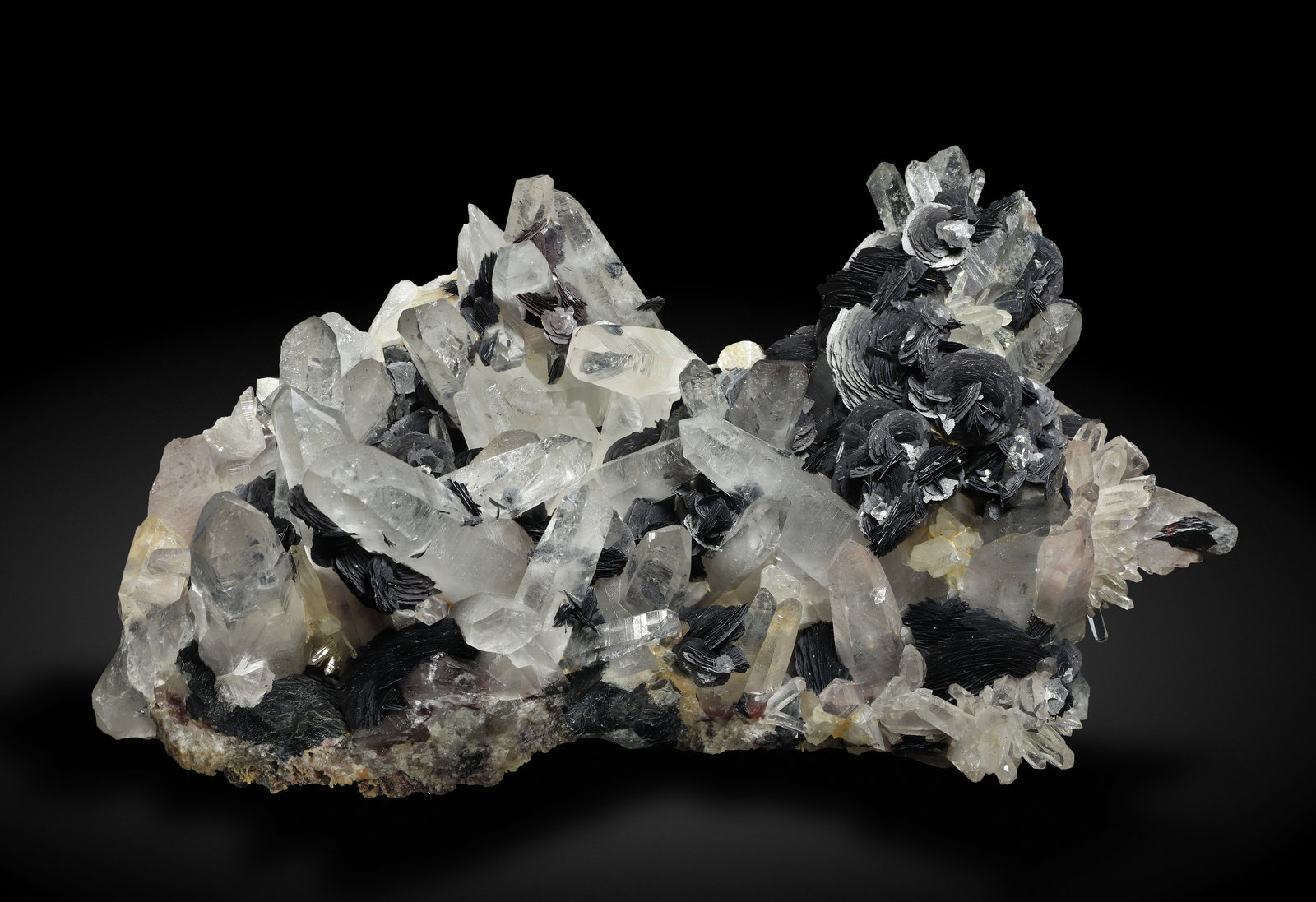 specimens/s_imagesAL7/Hematite-TD53AL7_1256_f.jpg