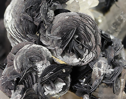 Hematite (variety iron rose) with Quartz. Detail / Photo: Joaquim Calln