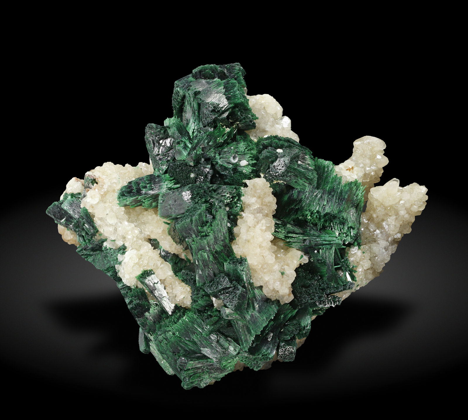 specimens/s_imagesAL7/Malachite-MD99AL7_0897_f.jpg