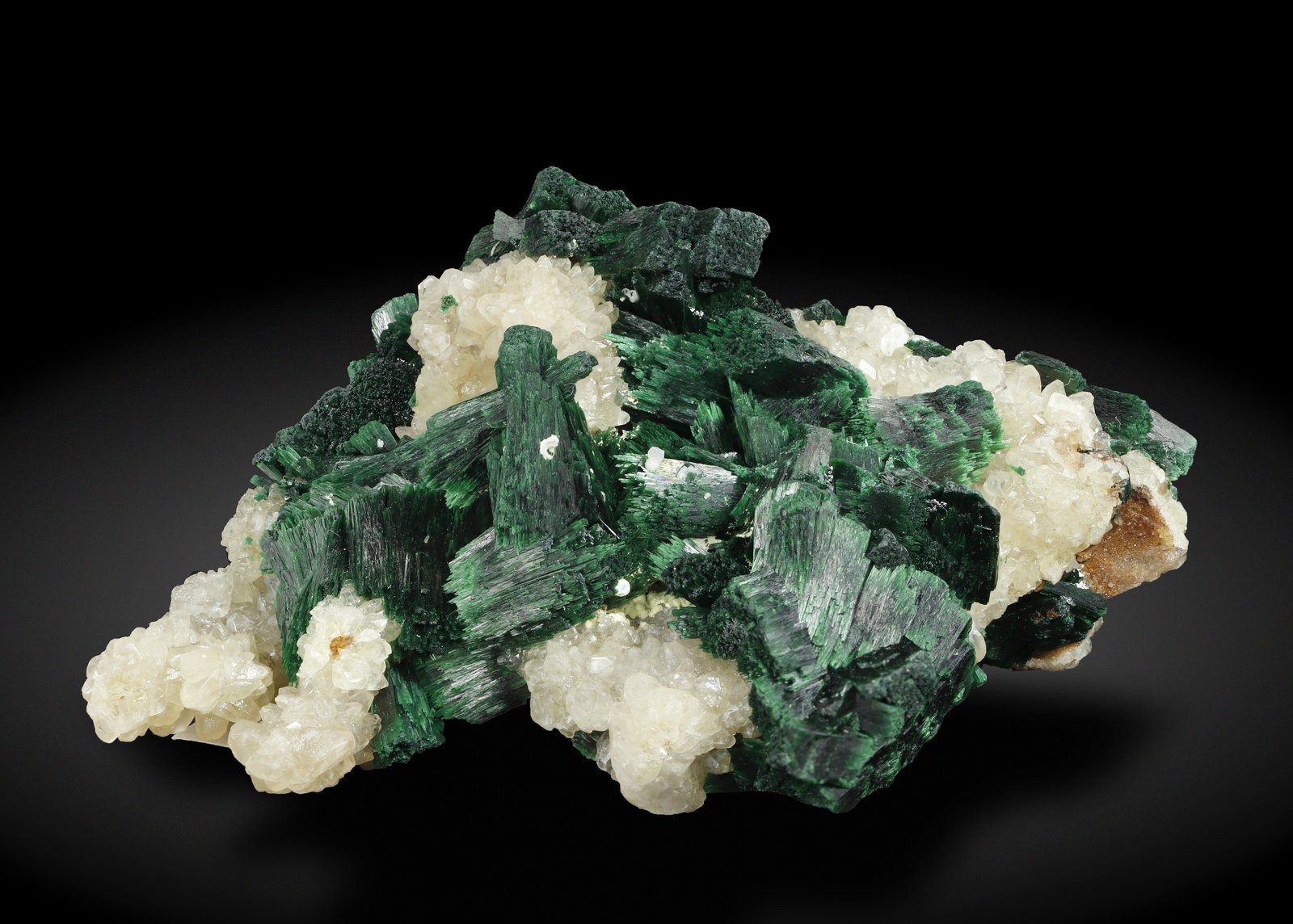 specimens/s_imagesAL7/Malachite-MD99AL7_0910_t.jpg