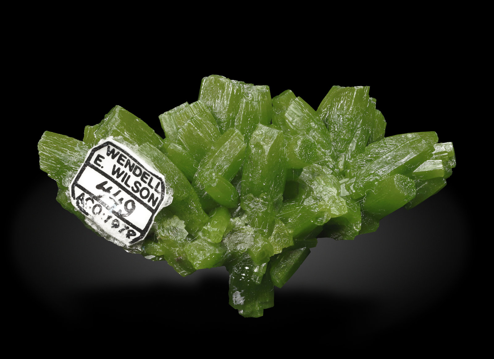 specimens/s_imagesAL7/Pyromorphite-MA96AL7_1527_r.jpg