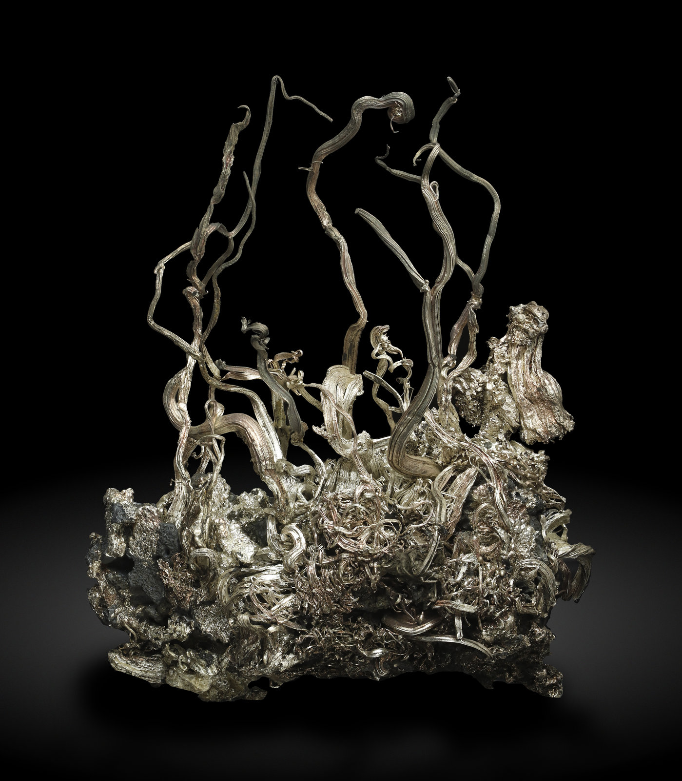 specimens/s_imagesAL7/Silver-TM69AL7_1084_f.jpg