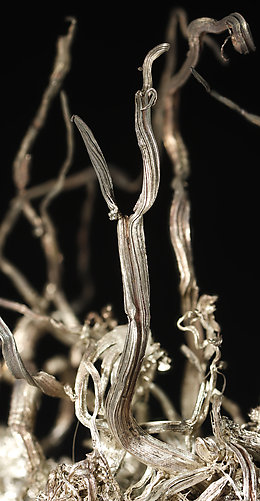 Silver. Detail / Photo: Joaquim Calln