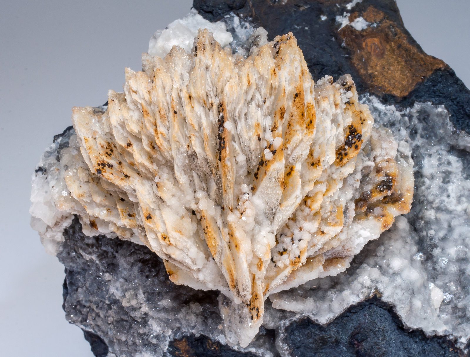 specimens/s_imagesAL8/Baryte-NR37AL8d.jpg