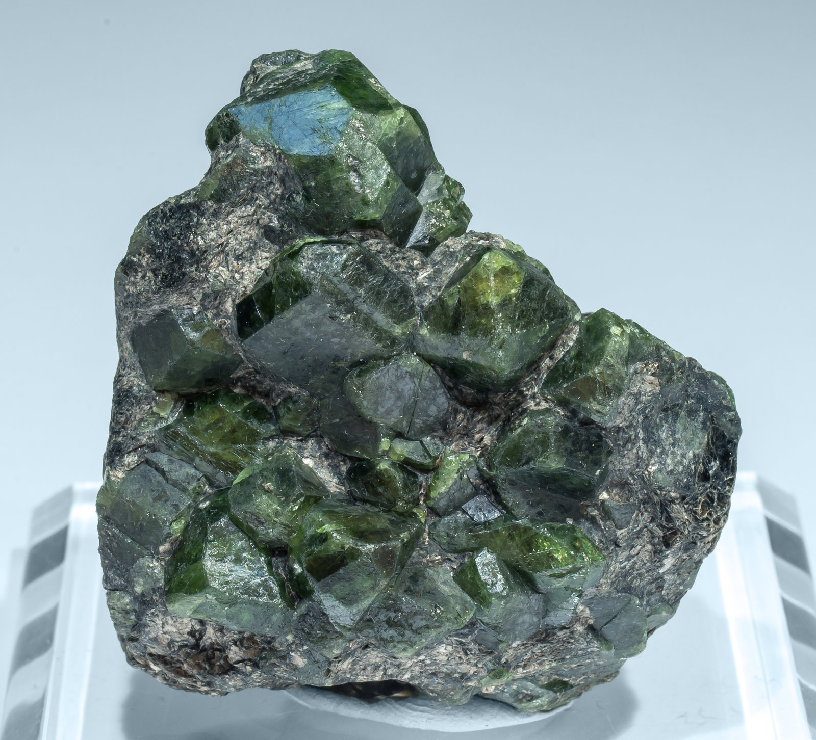 specimens/s_imagesAL8/Chrysoberyl-TB90AL8f1.jpg