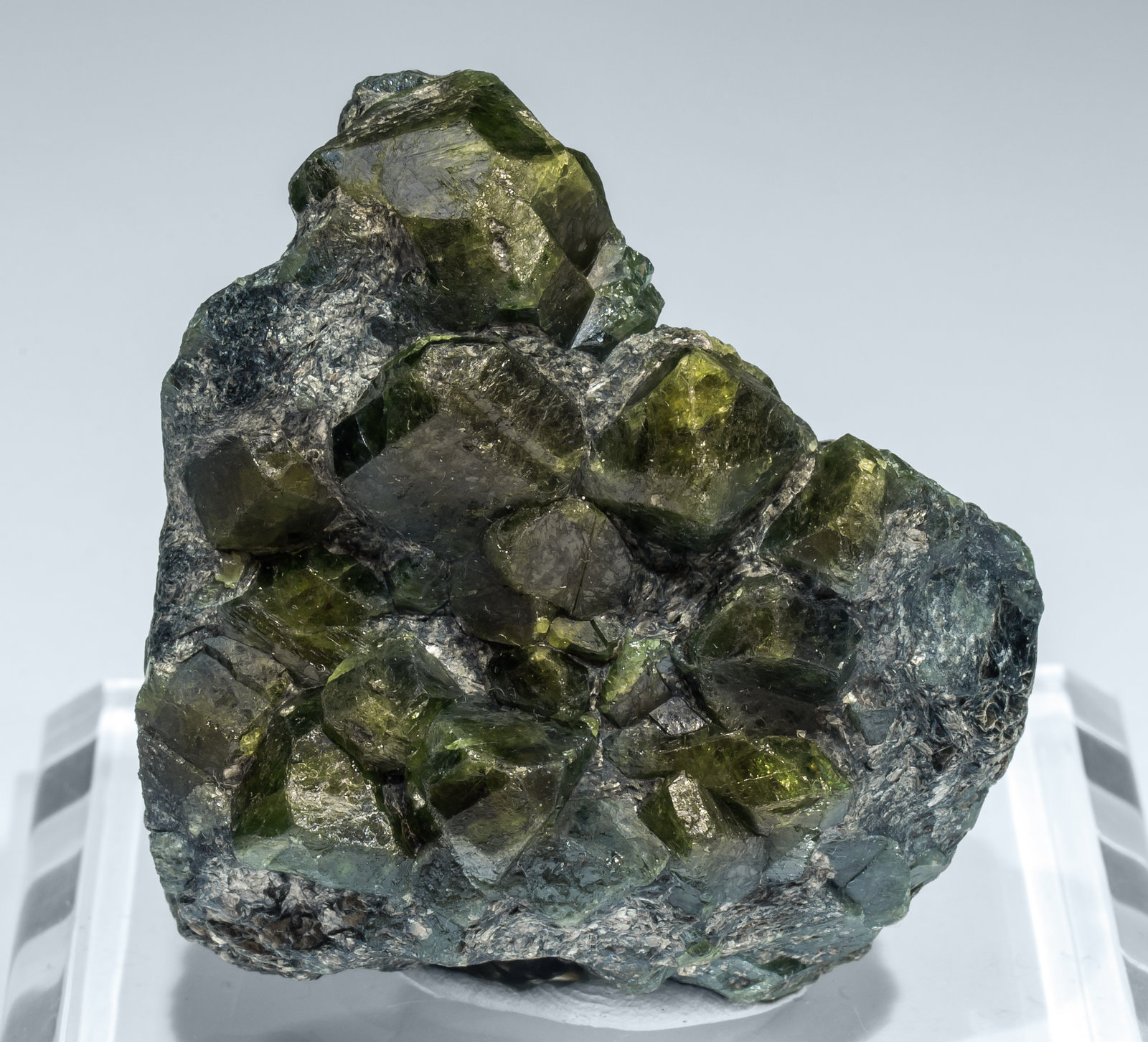 specimens/s_imagesAL8/Chrysoberyl-TB90AL8f2.jpg