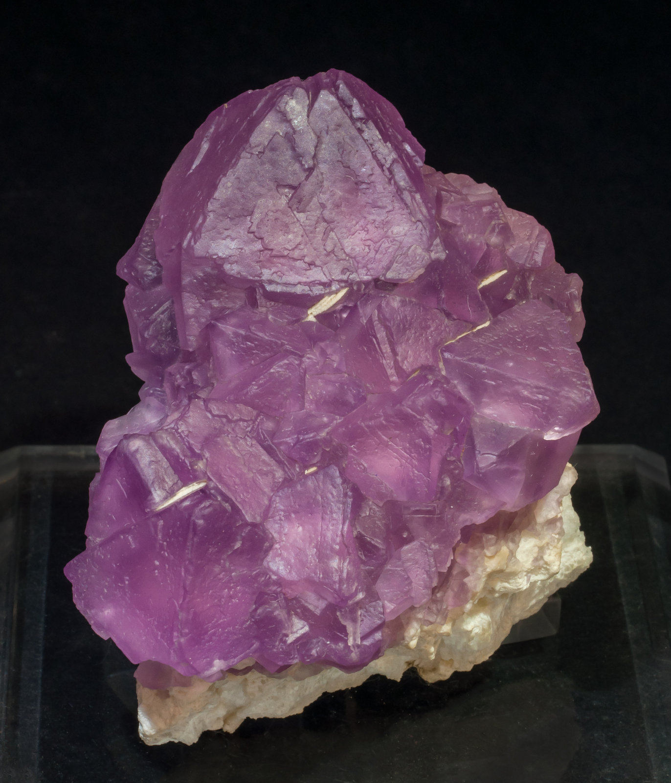 specimens/s_imagesAL8/Fluorite-DC68AL8f.jpg