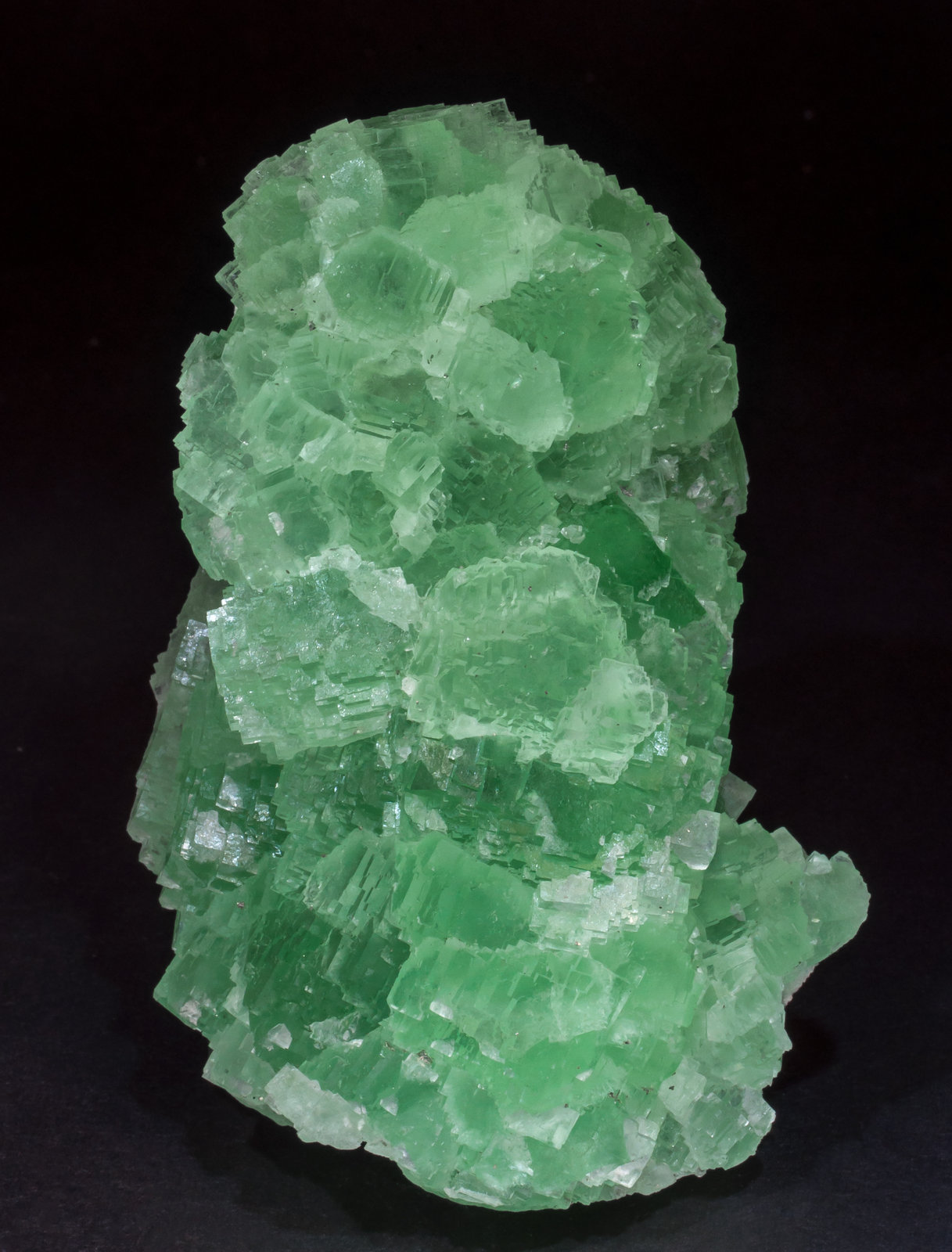 specimens/s_imagesAL8/Fluorite-NT67AL8f.jpg