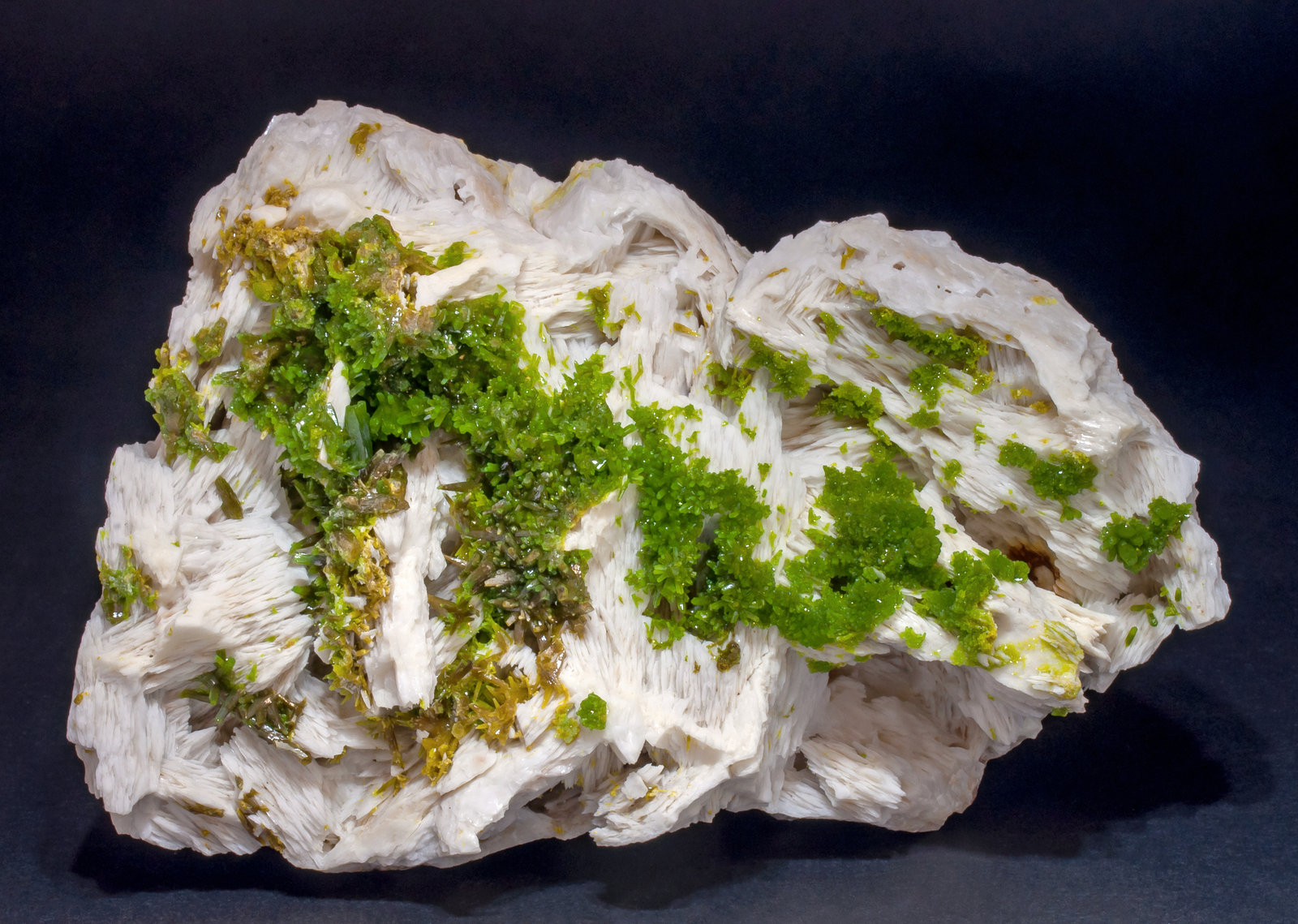 specimens/s_imagesAL8/Pyromorphite-EF61AL8s.jpg