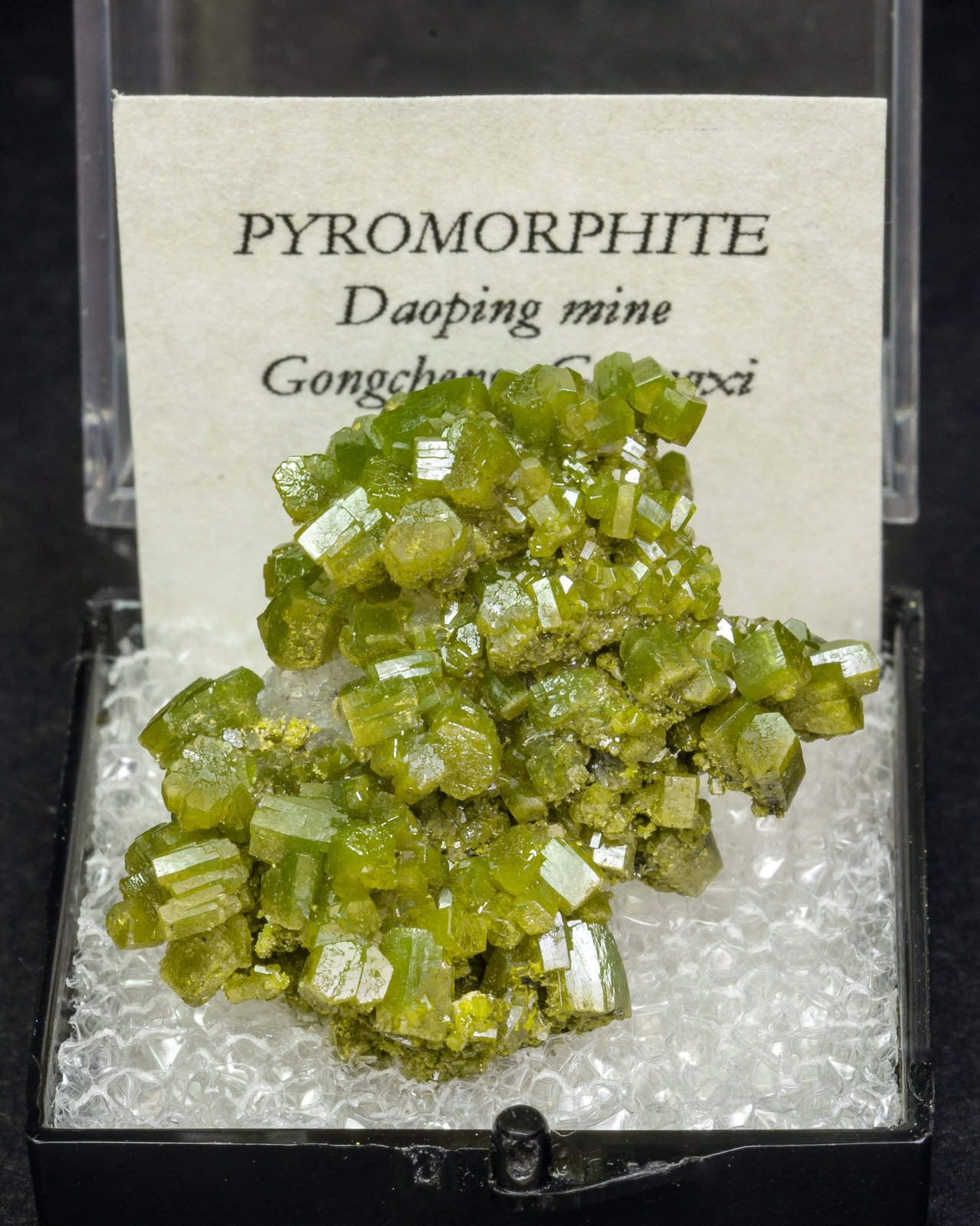 specimens/s_imagesAL8/Pyromorphite-TF66AL8f1.jpg