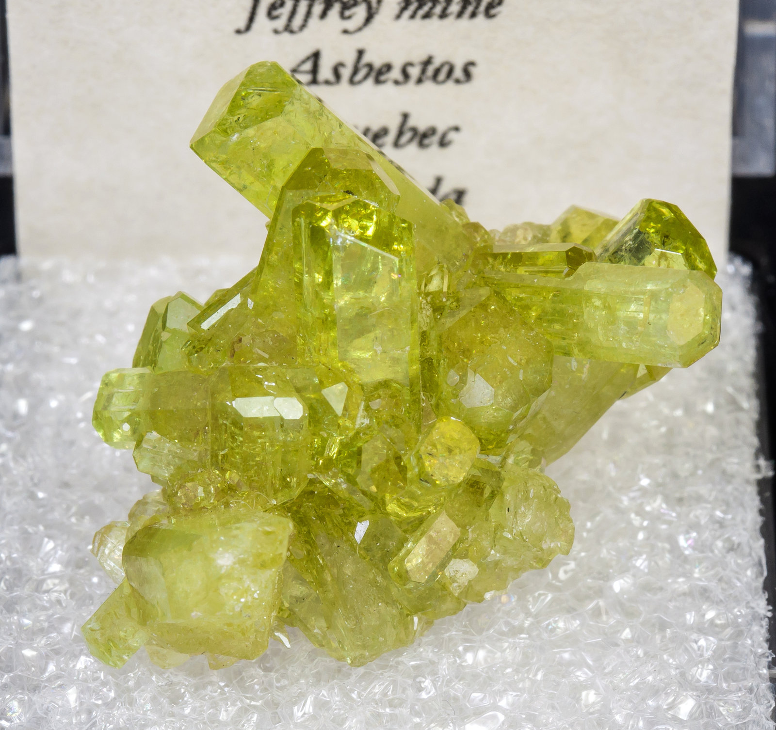 specimens/s_imagesAL8/Vesuvianite-TY86AL8f2.jpg