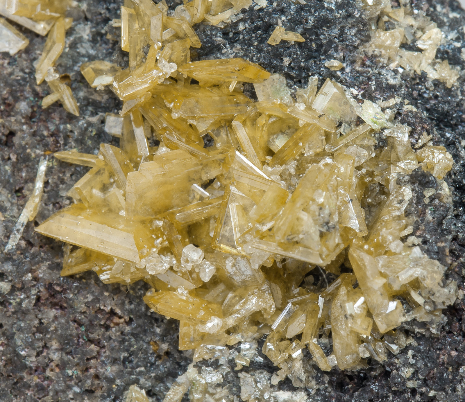 specimens/s_imagesAL8/Wulfenite-CB59AL8d.jpg