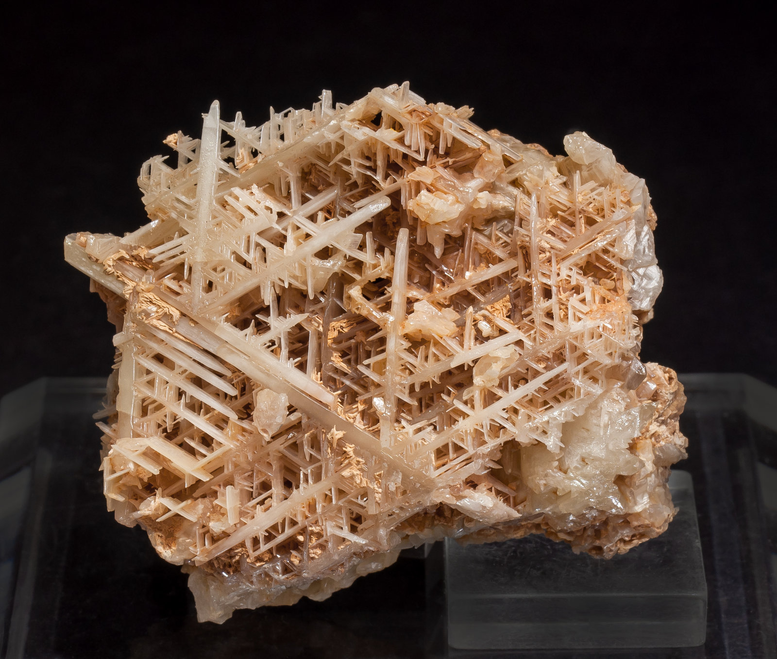 specimens/s_imagesAL9/Cerussite-NJ70AL9f.jpg