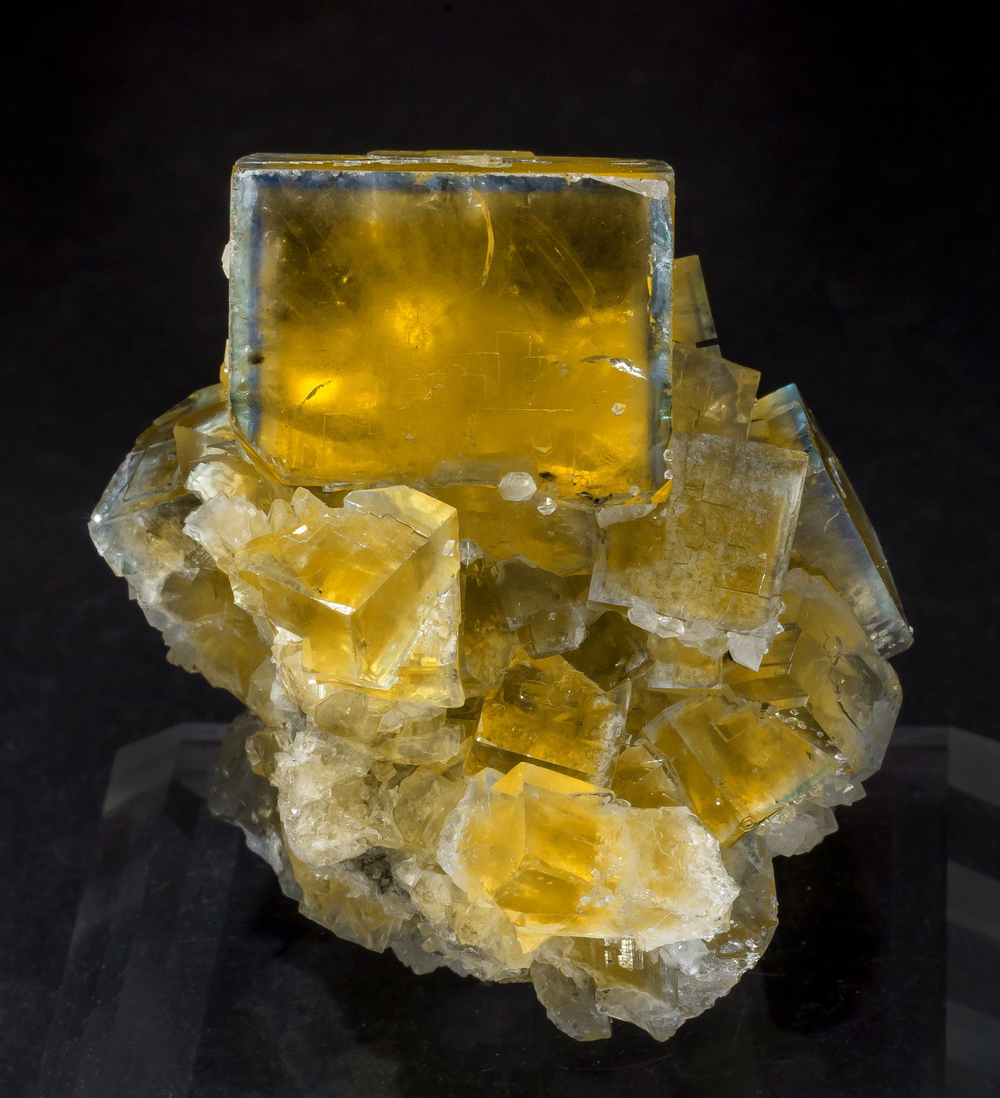 specimens/s_imagesAL9/Fluorite-ER10AL9f.jpg