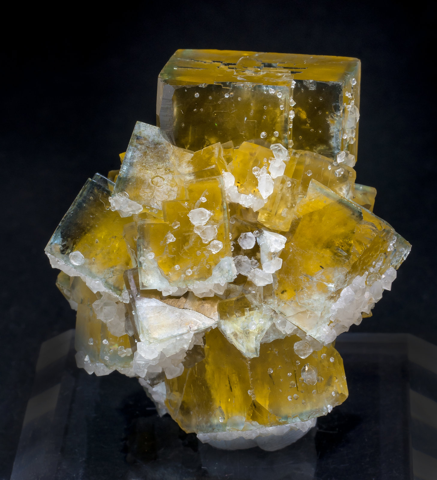 specimens/s_imagesAL9/Fluorite-ER10AL9r.jpg