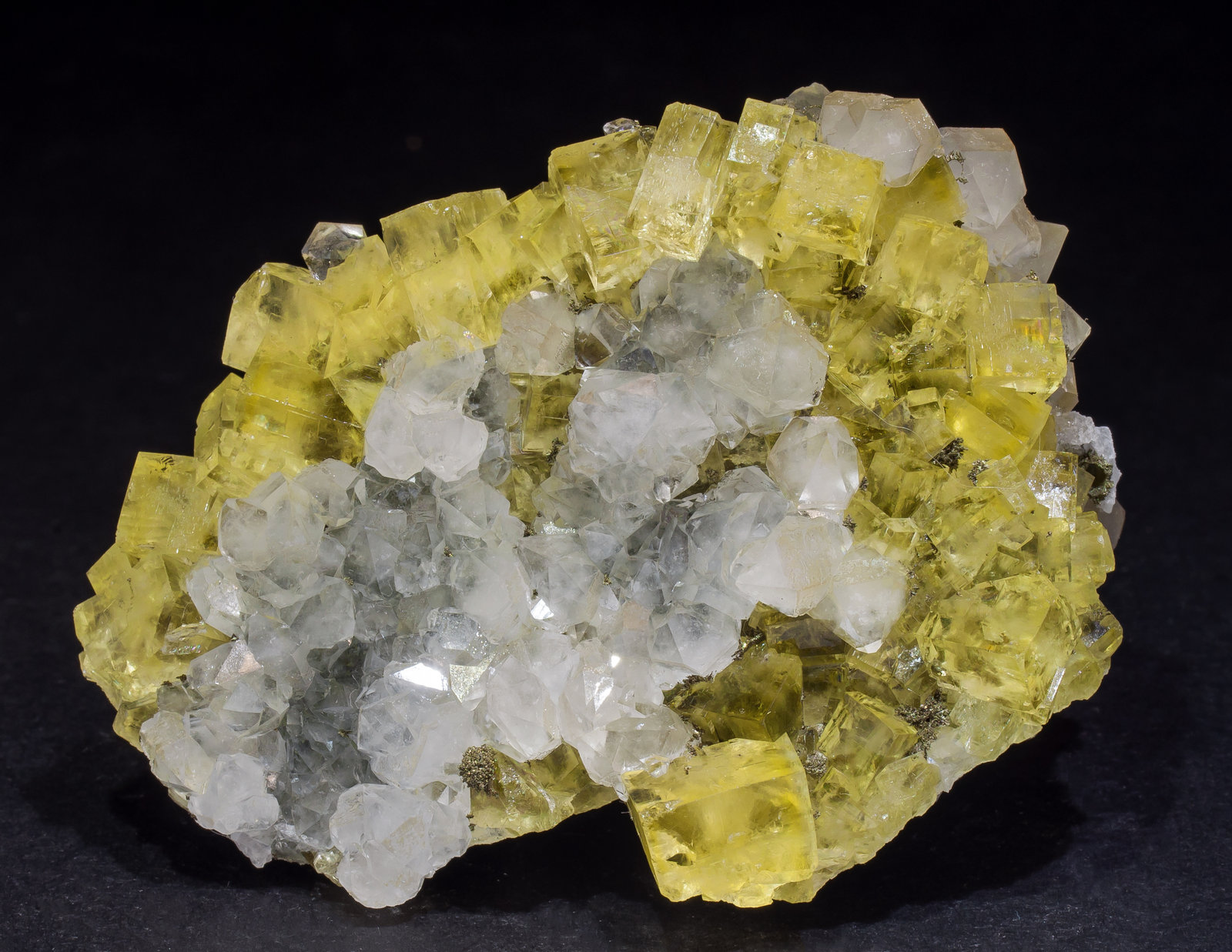 specimens/s_imagesAL9/Fluorite-FR14AL9f.jpg