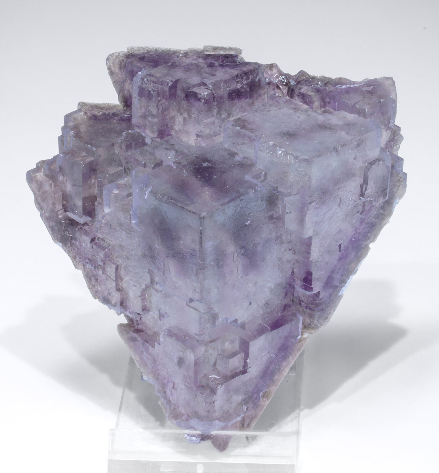 specimens/s_imagesAL9/Fluorite-NC69AL9f.jpg