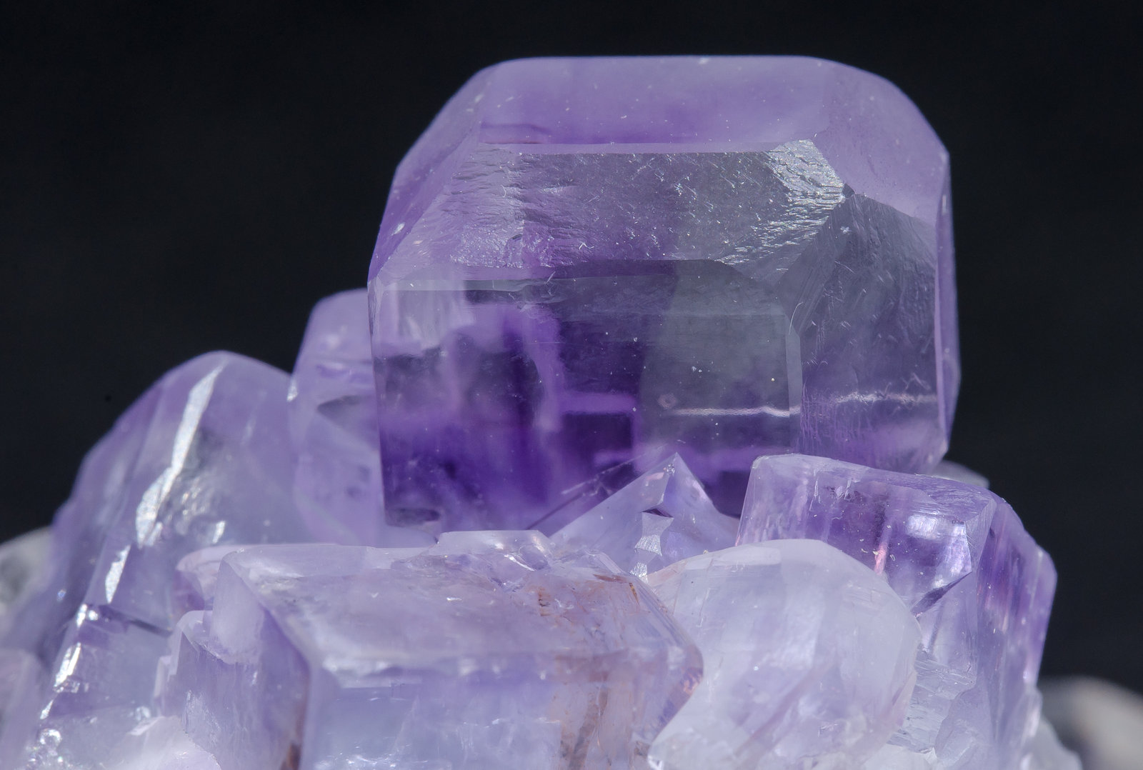 specimens/s_imagesAL9/Fluorite-NY27AL9d.jpg