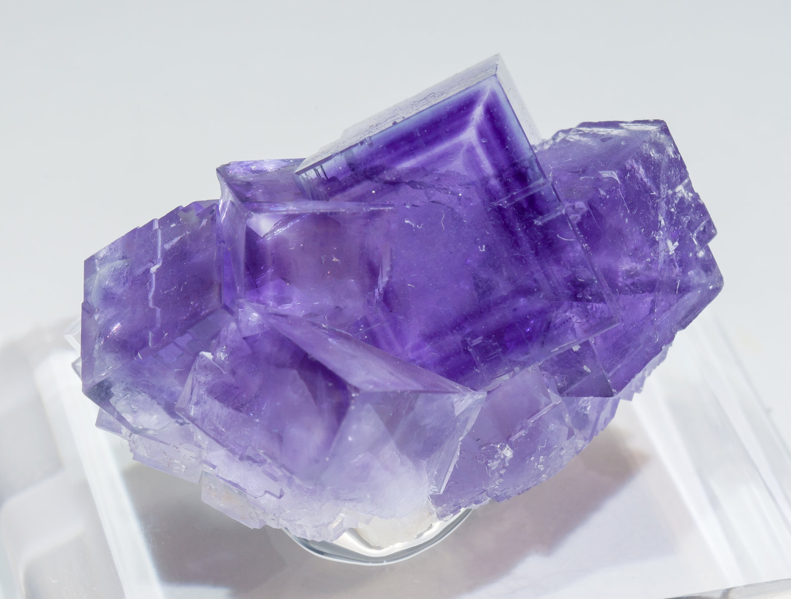 specimens/s_imagesAL9/Fluorite-NZ16AL9s.jpg