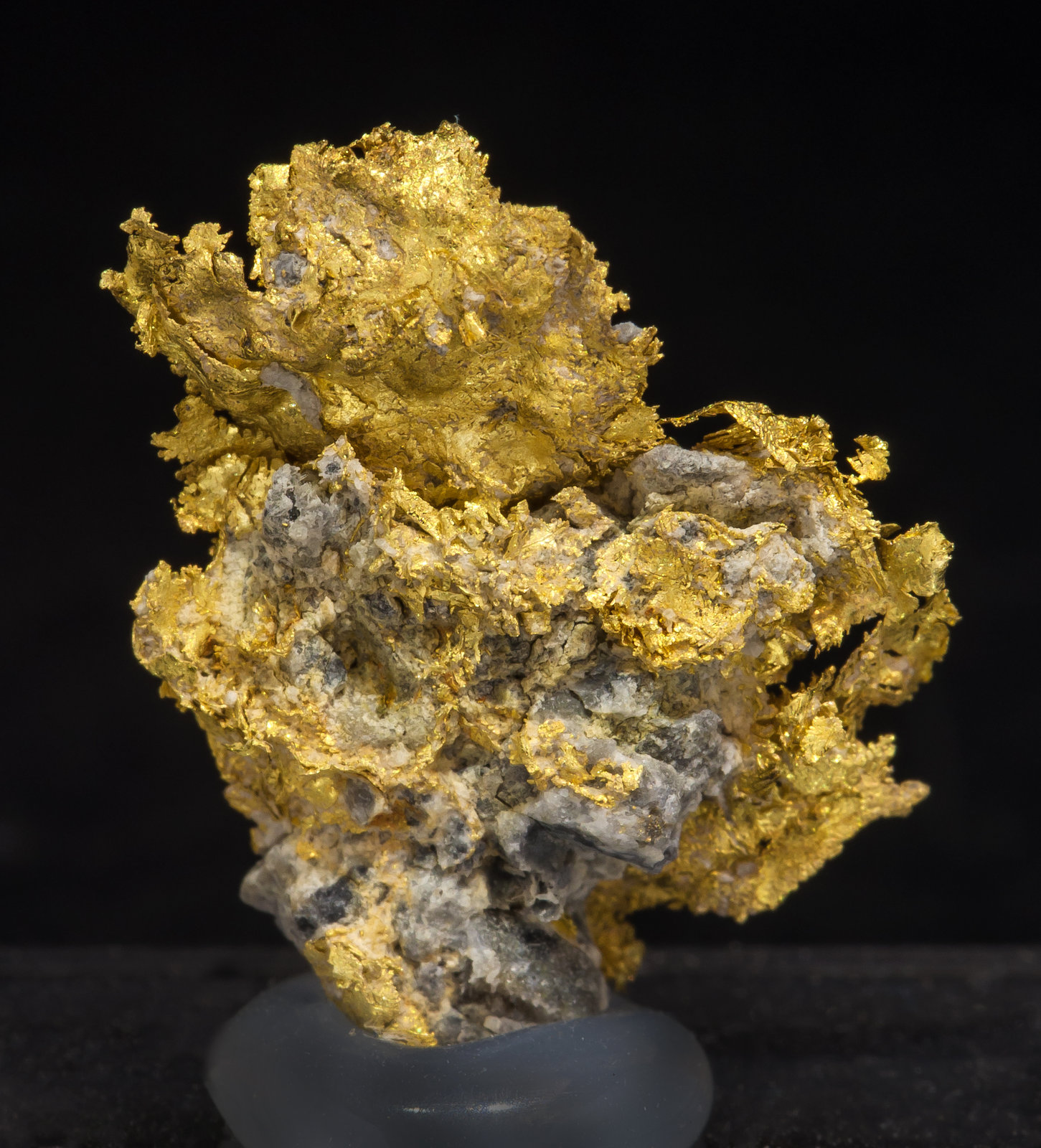specimens/s_imagesAL9/Gold-TD98AL9r.jpg