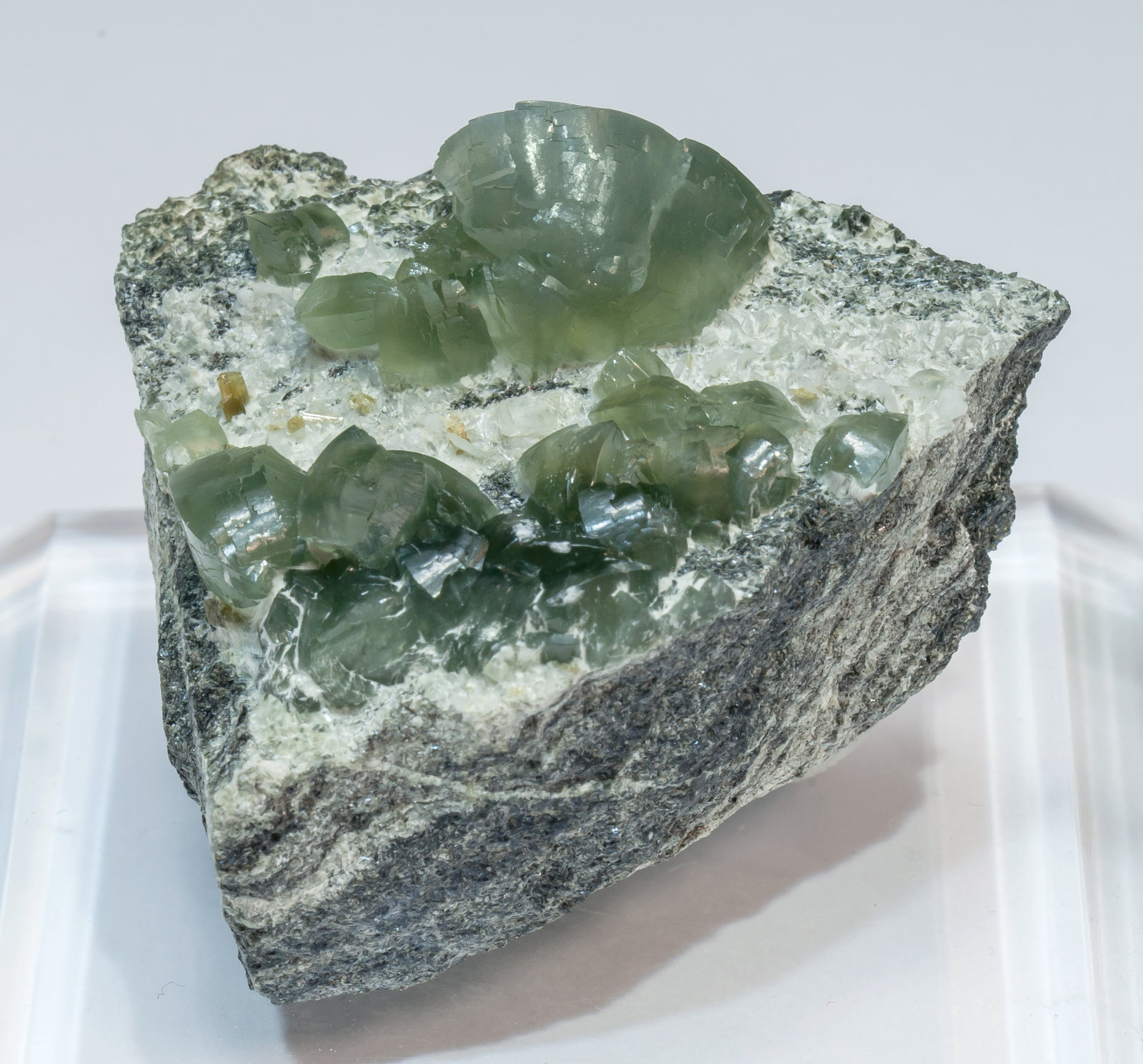 specimens/s_imagesAL9/Prehnite-EF37AL9f.jpg