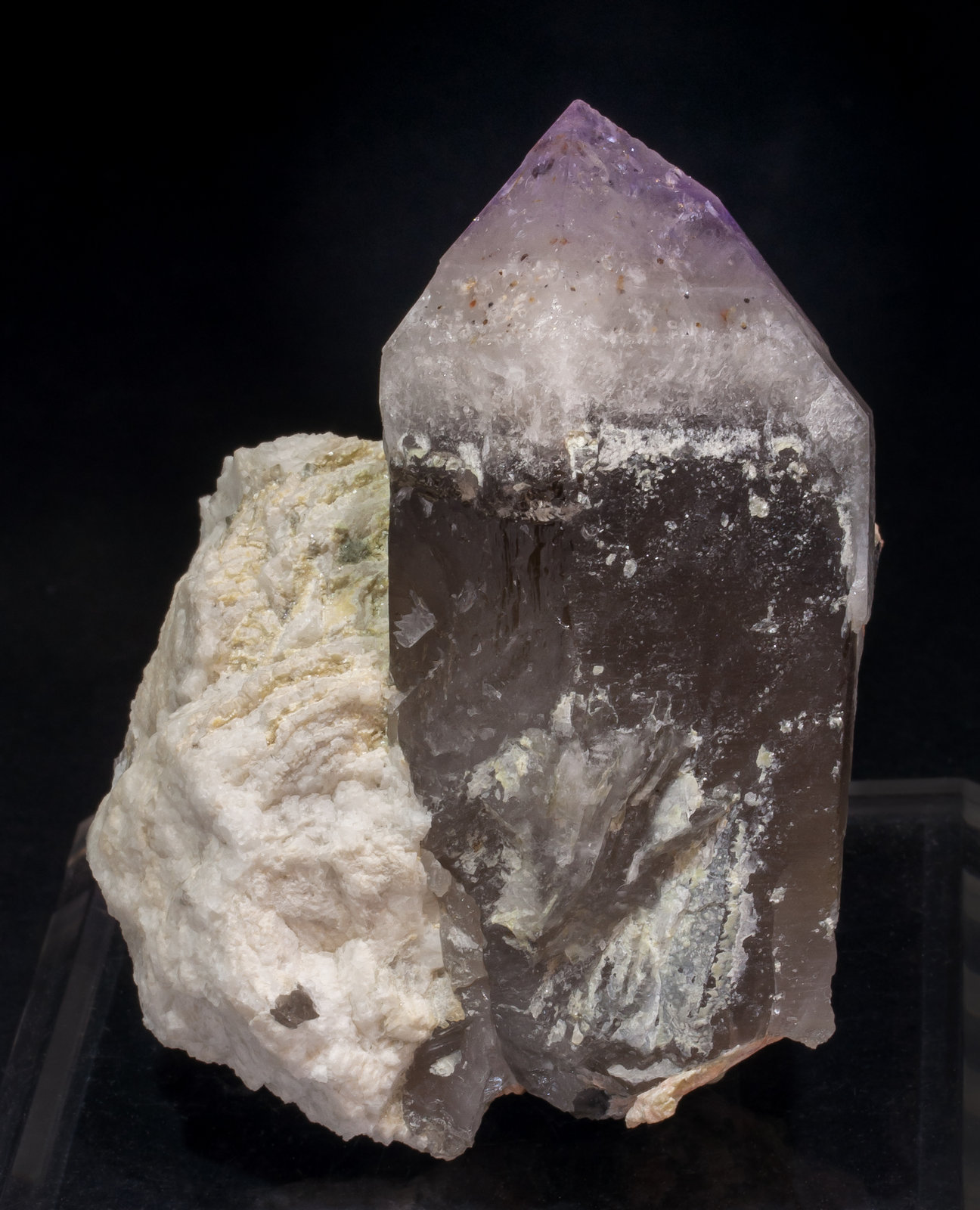specimens/s_imagesAL9/Quartz_amethyst-NJ36AL9f.jpg